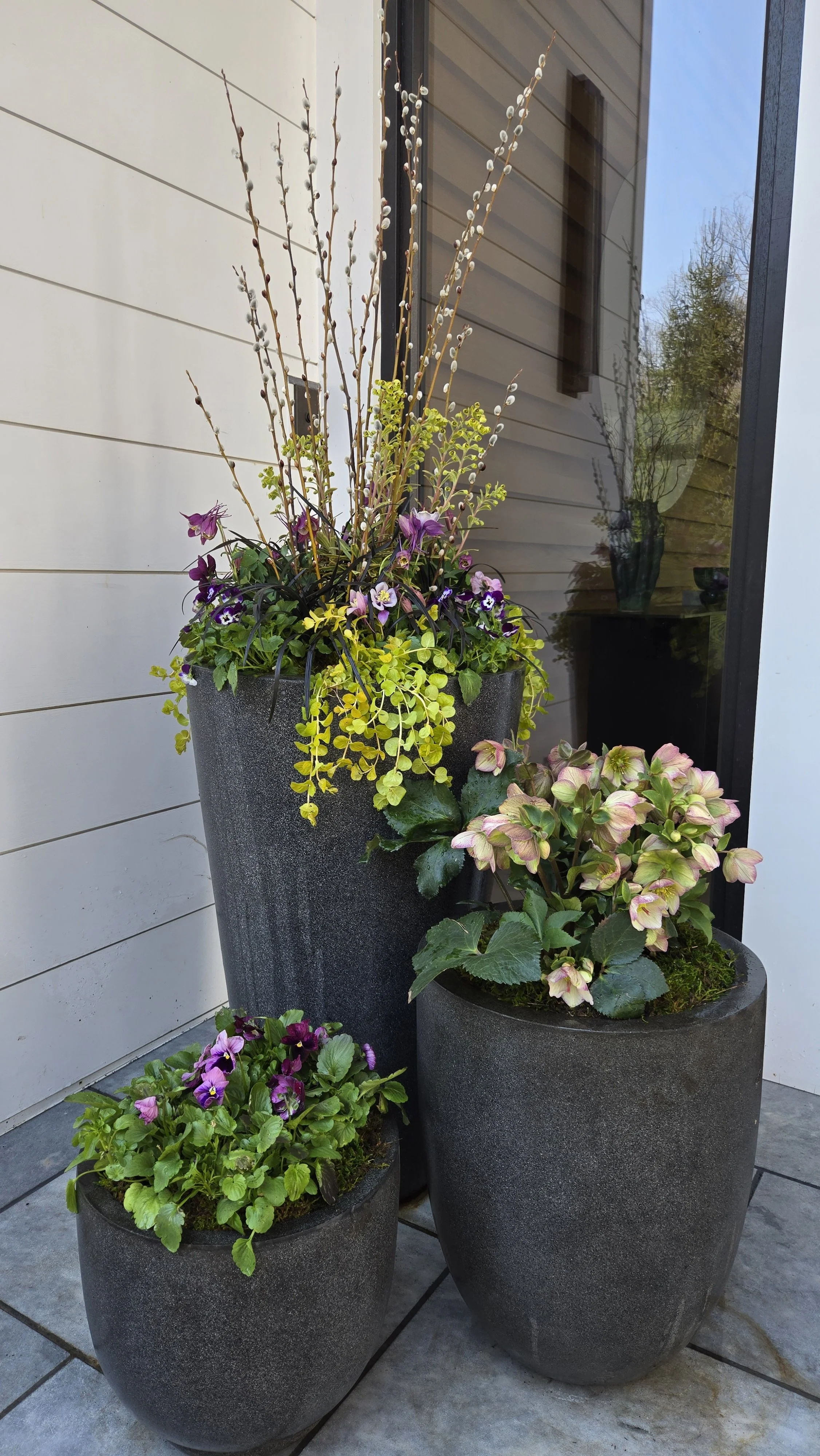 spring container 11.jpg