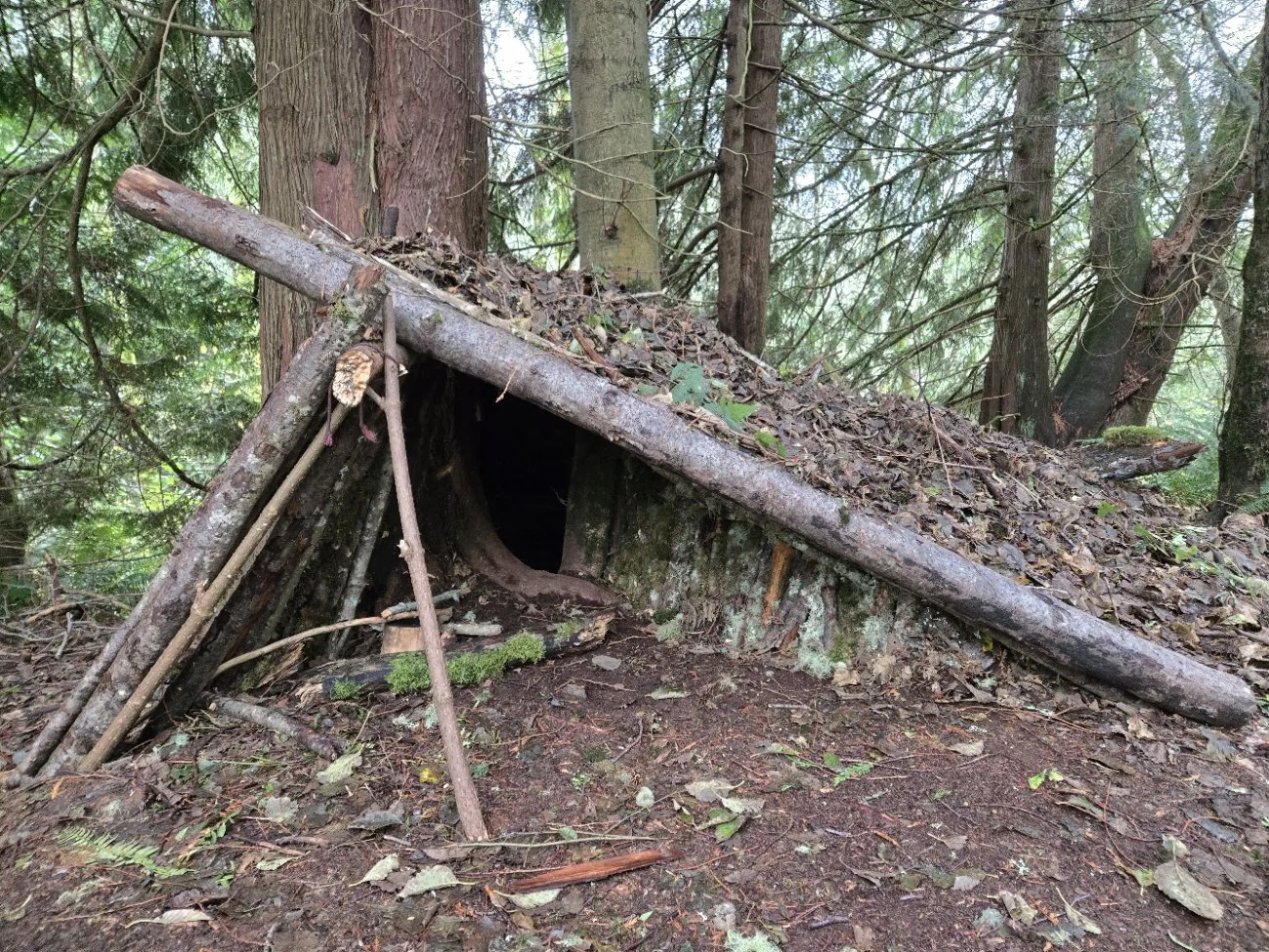 Rainwalk Rewild Wilderness School
