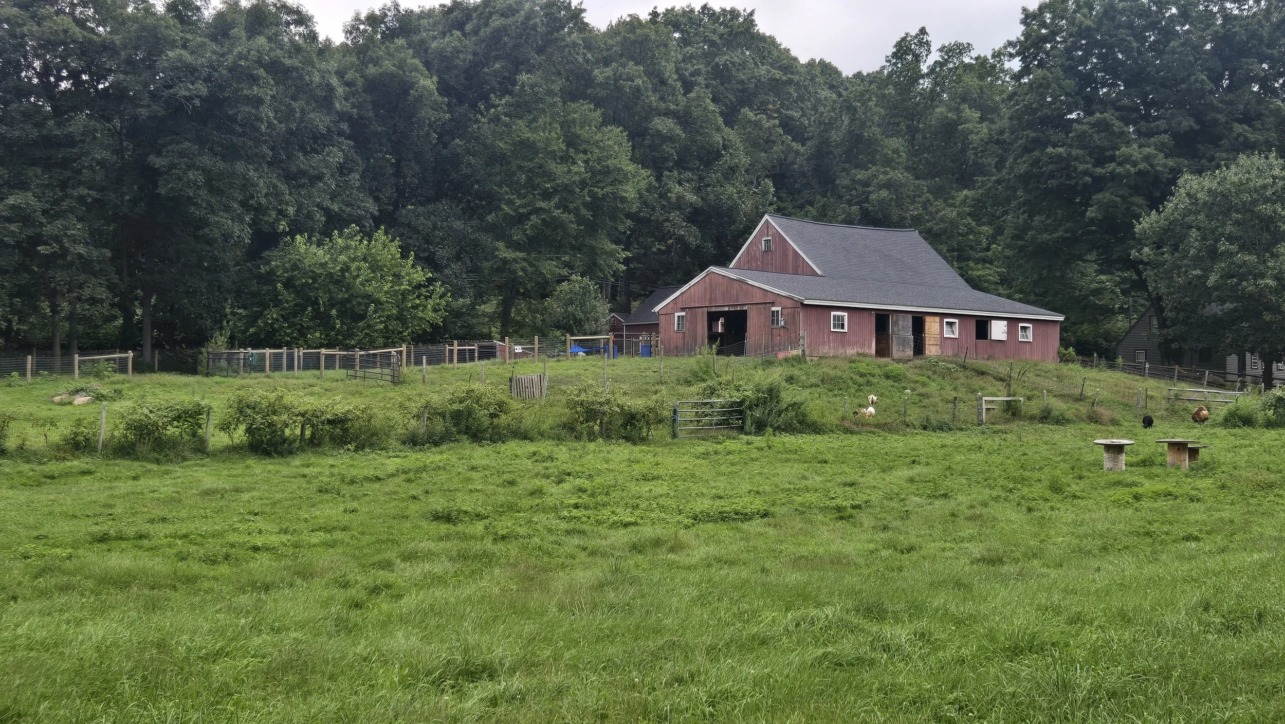 Media for Flanders Nature Center