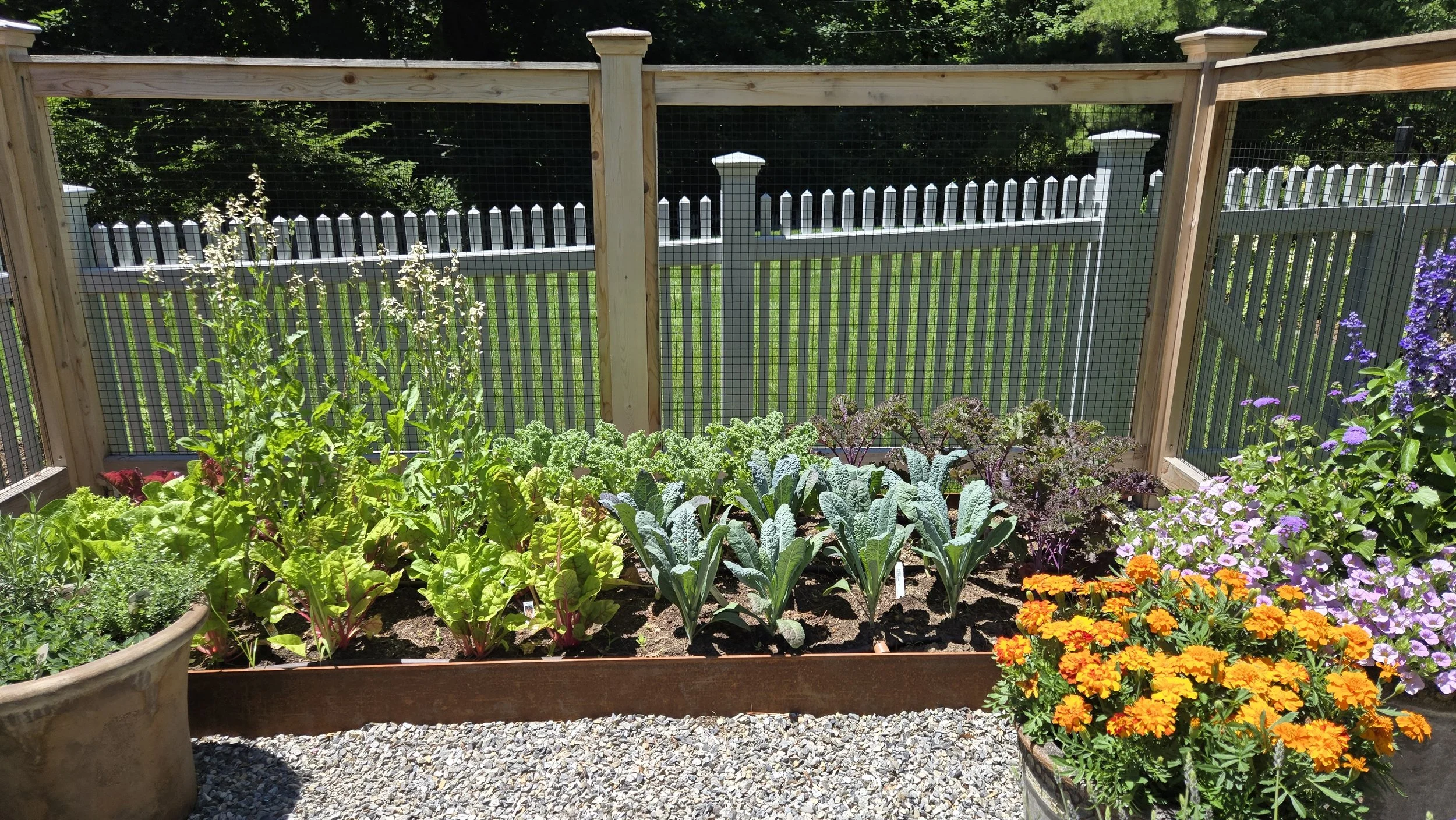 vegetable garden 2.jpg