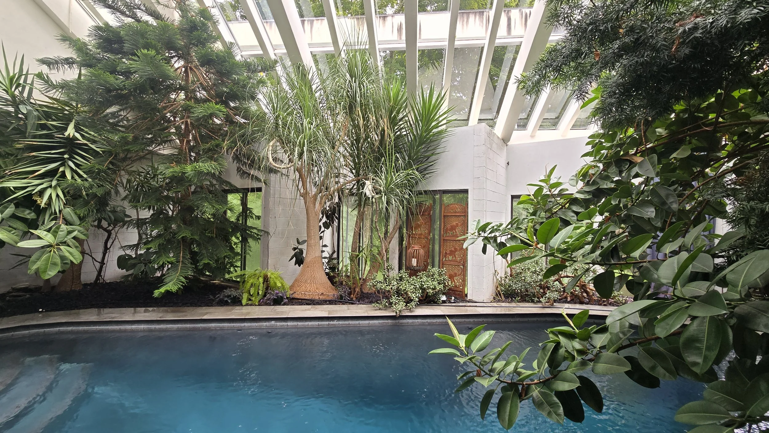 indoor tropical conservatory 2.jpg