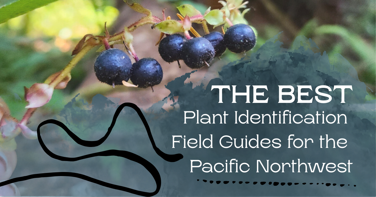 The Best Plant Identification Field Guides for the Pacific Northwest