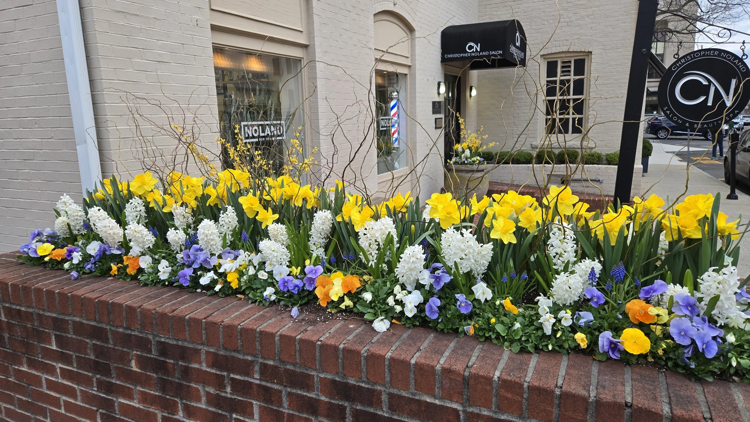 spring container 4.jpg
