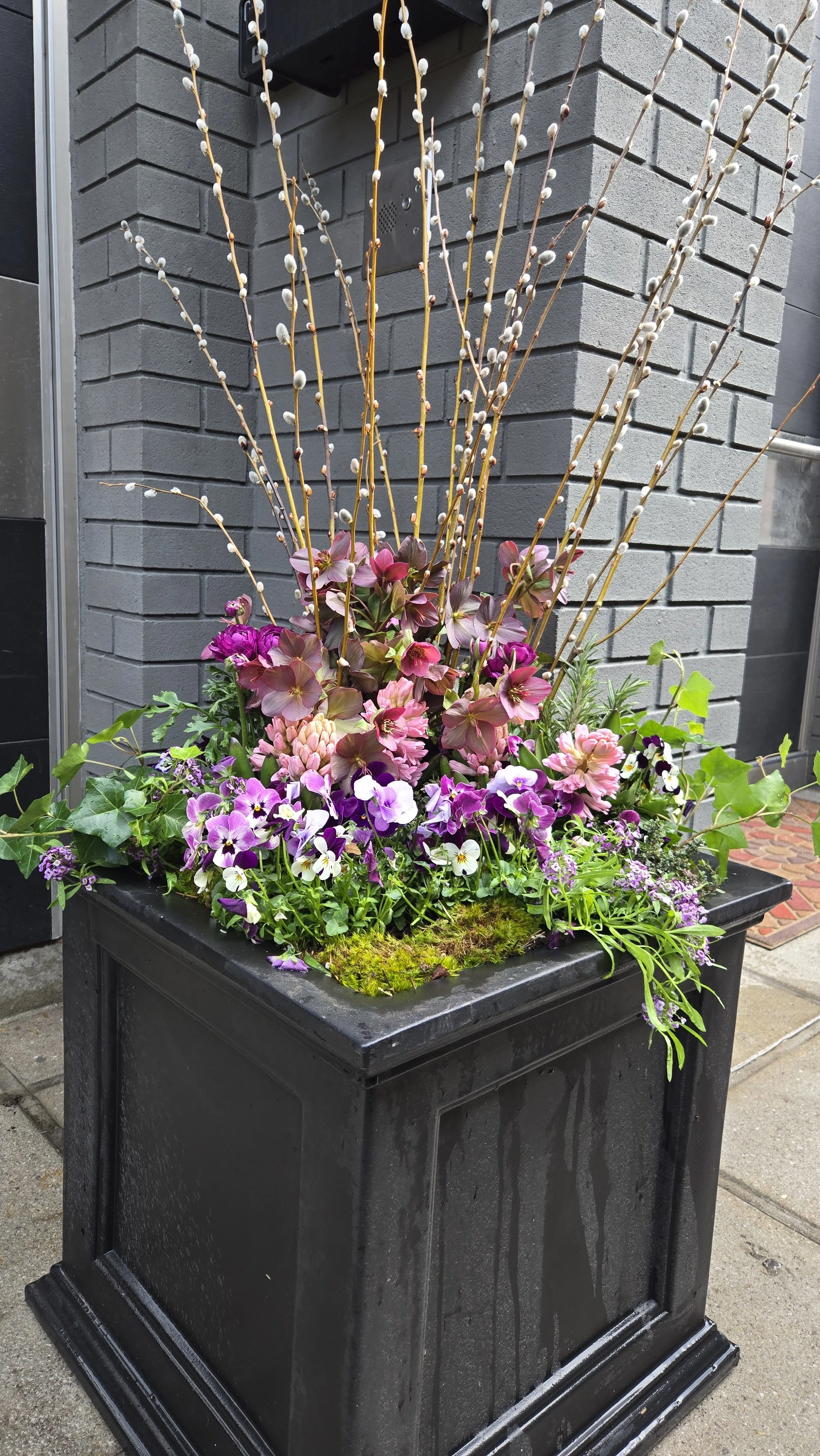 spring container 8.jpg