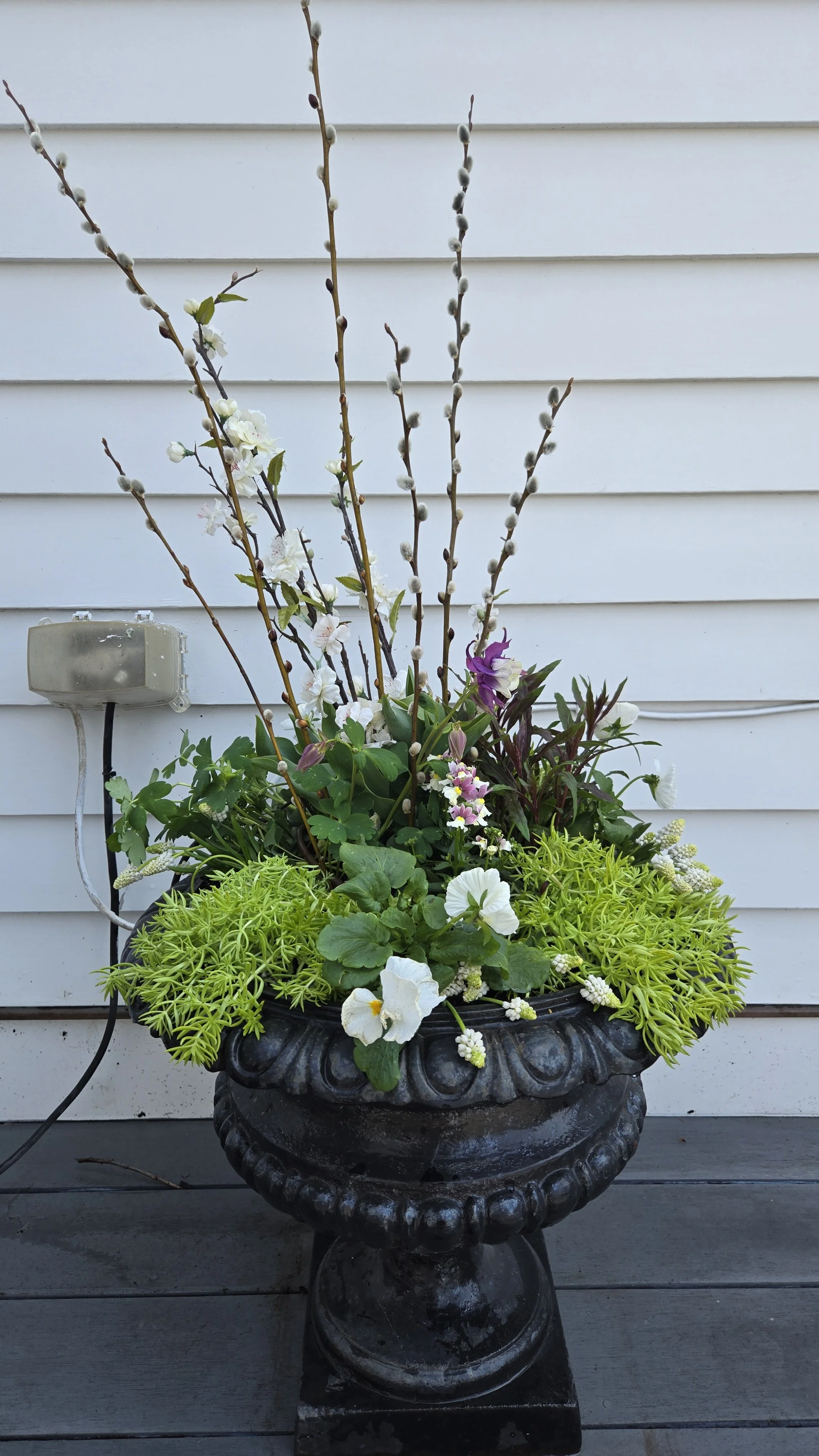 spring container 14.jpg