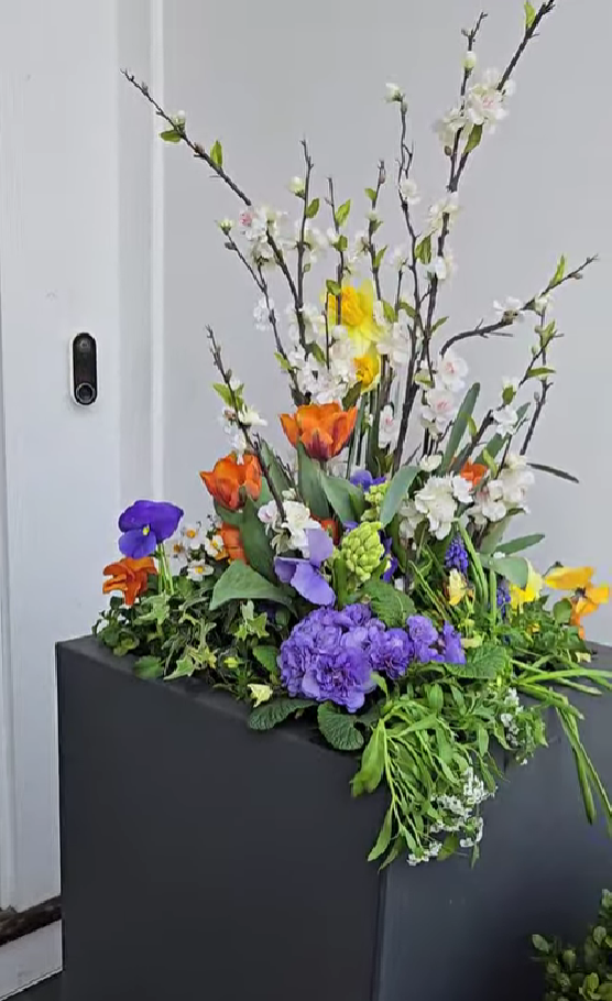 spring container 7.png