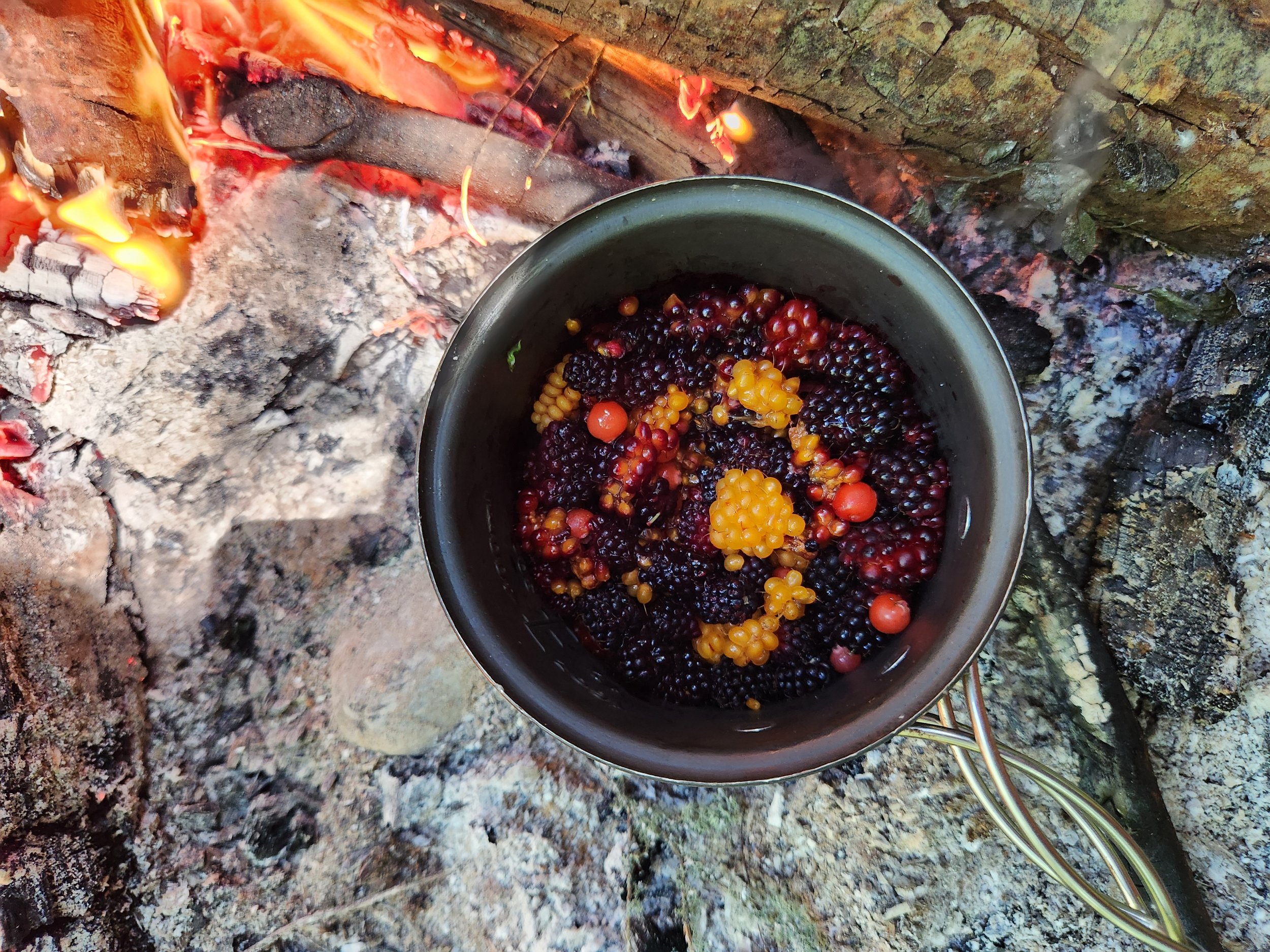 Comparing Spring Berries