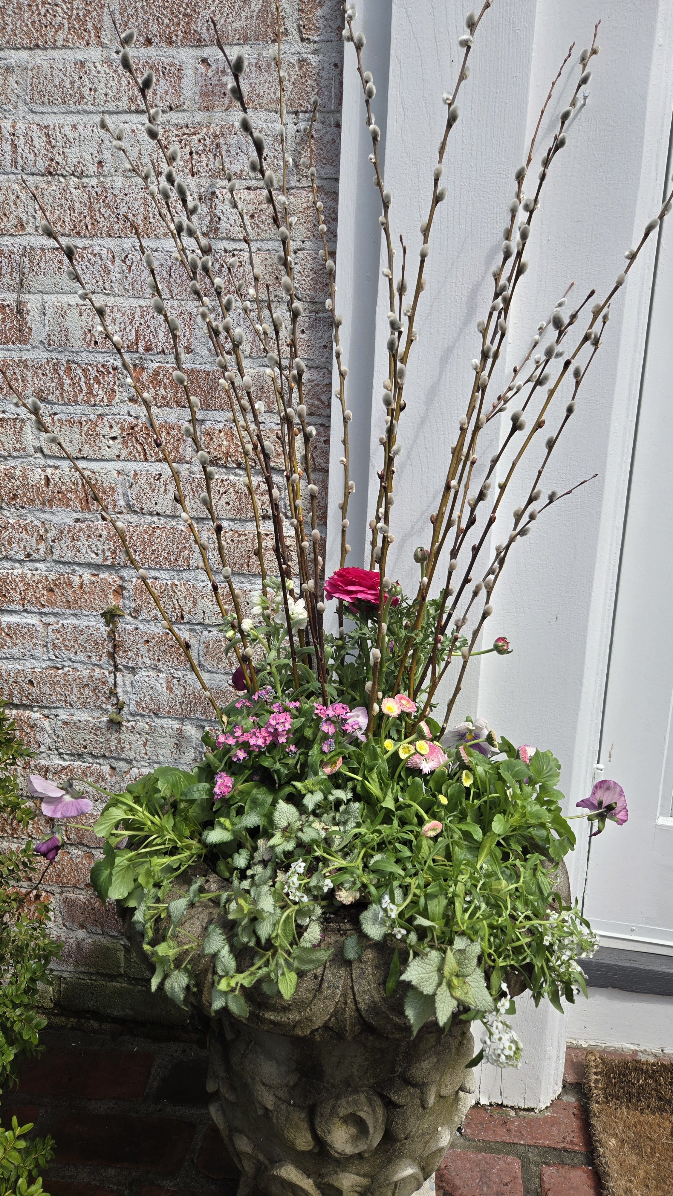 spring container 13.jpg