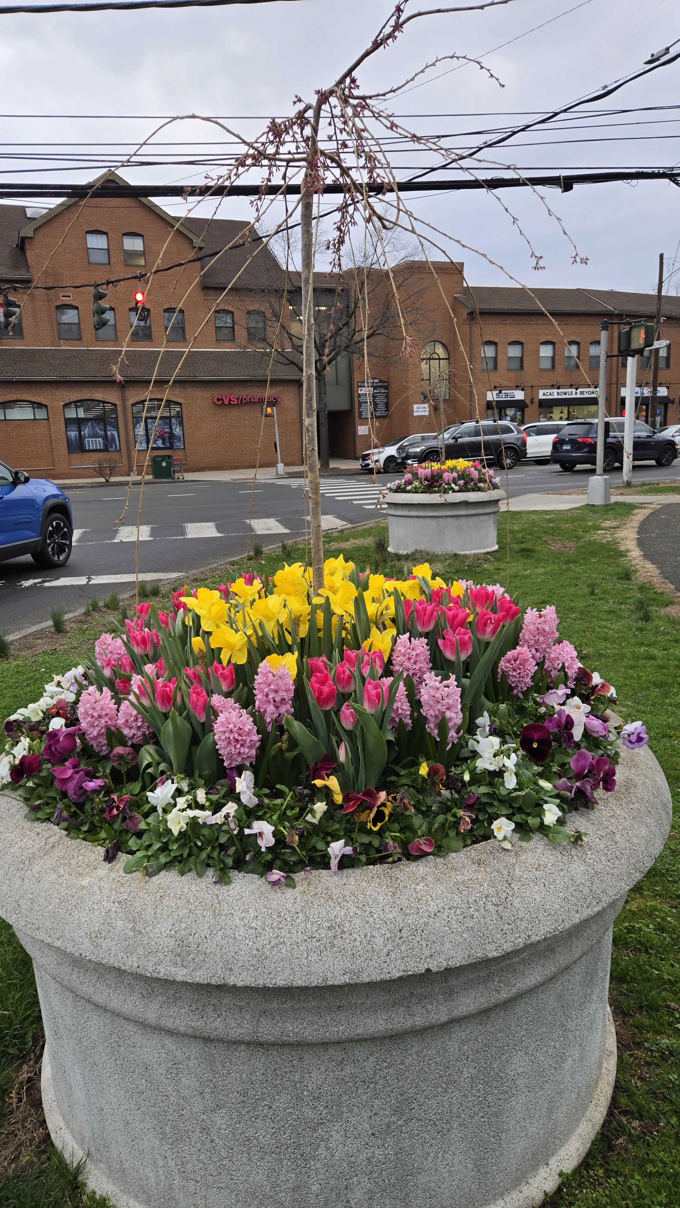 Spring container 9.jpg