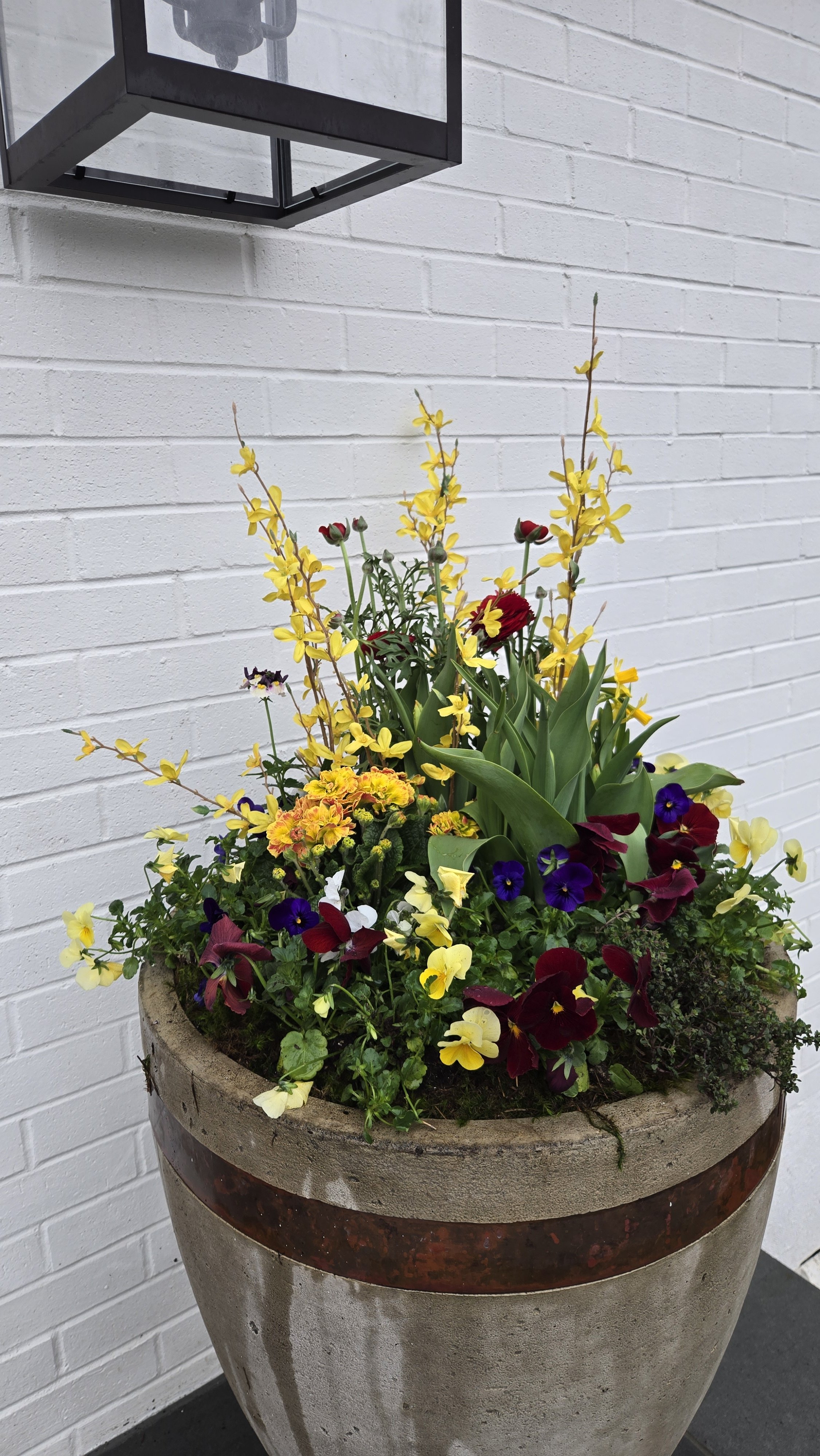spring container 3.jpg