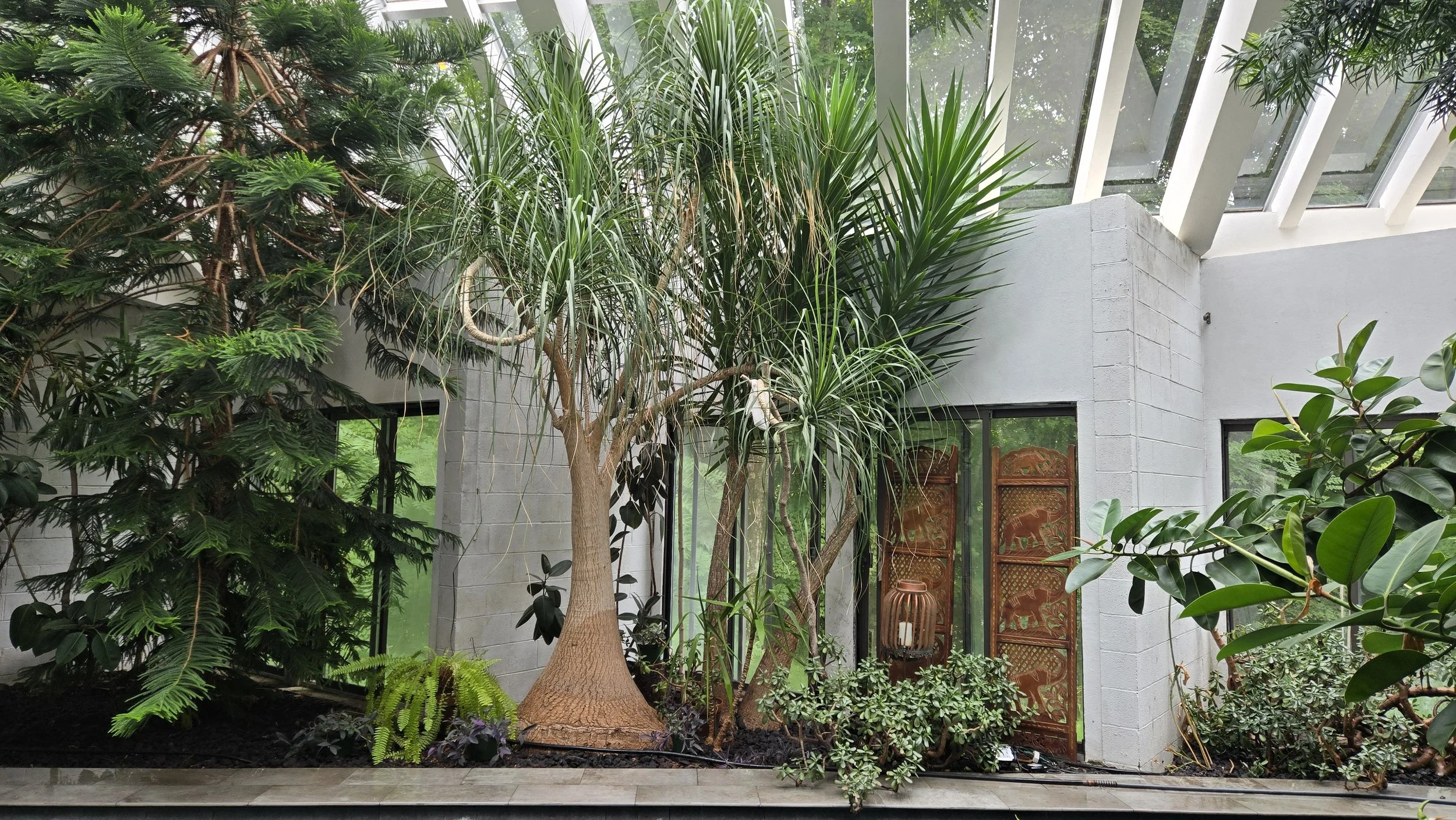 Indoor Tropical Conservatory