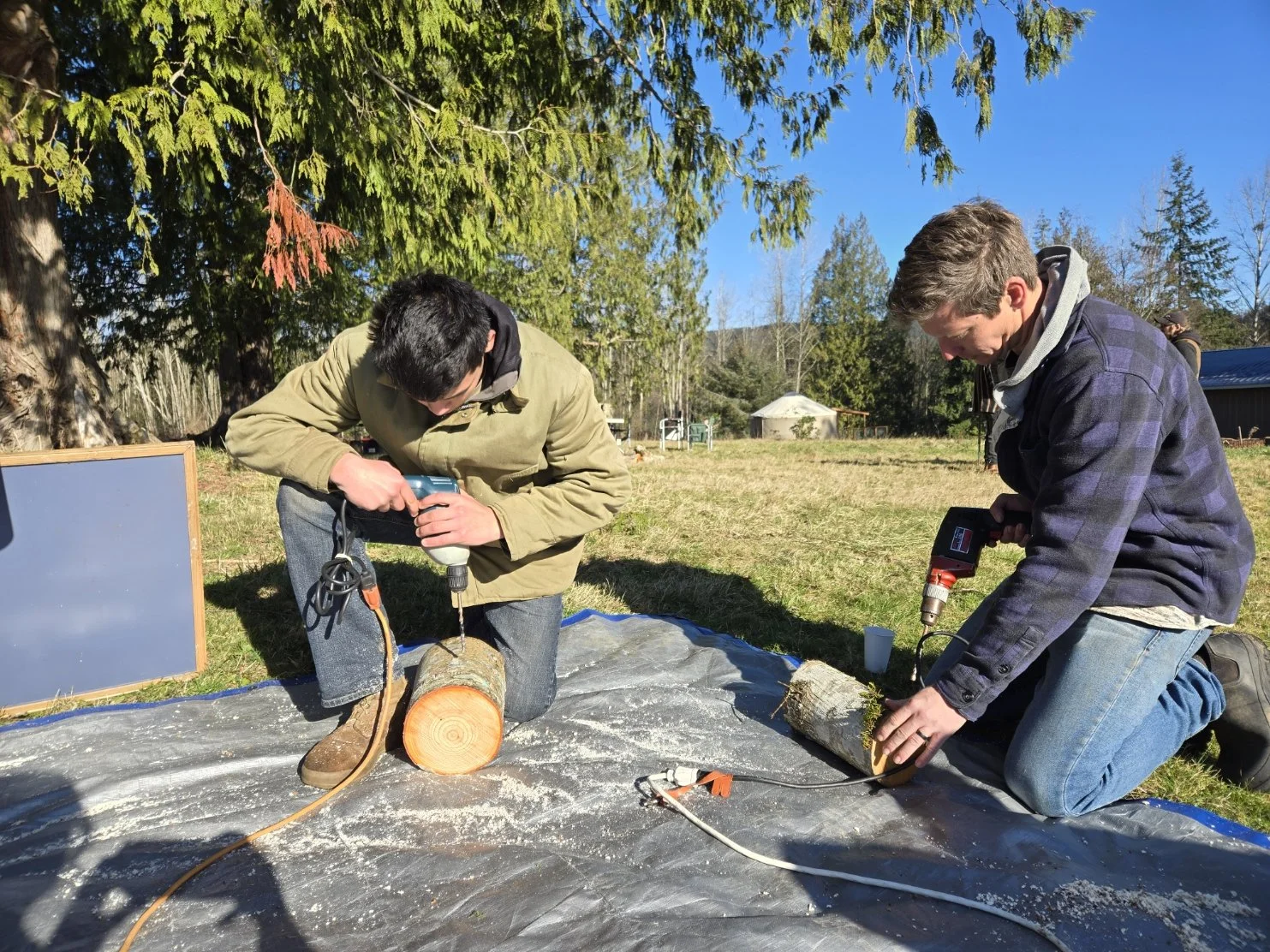 Drilling Mushroom Logs.jpg