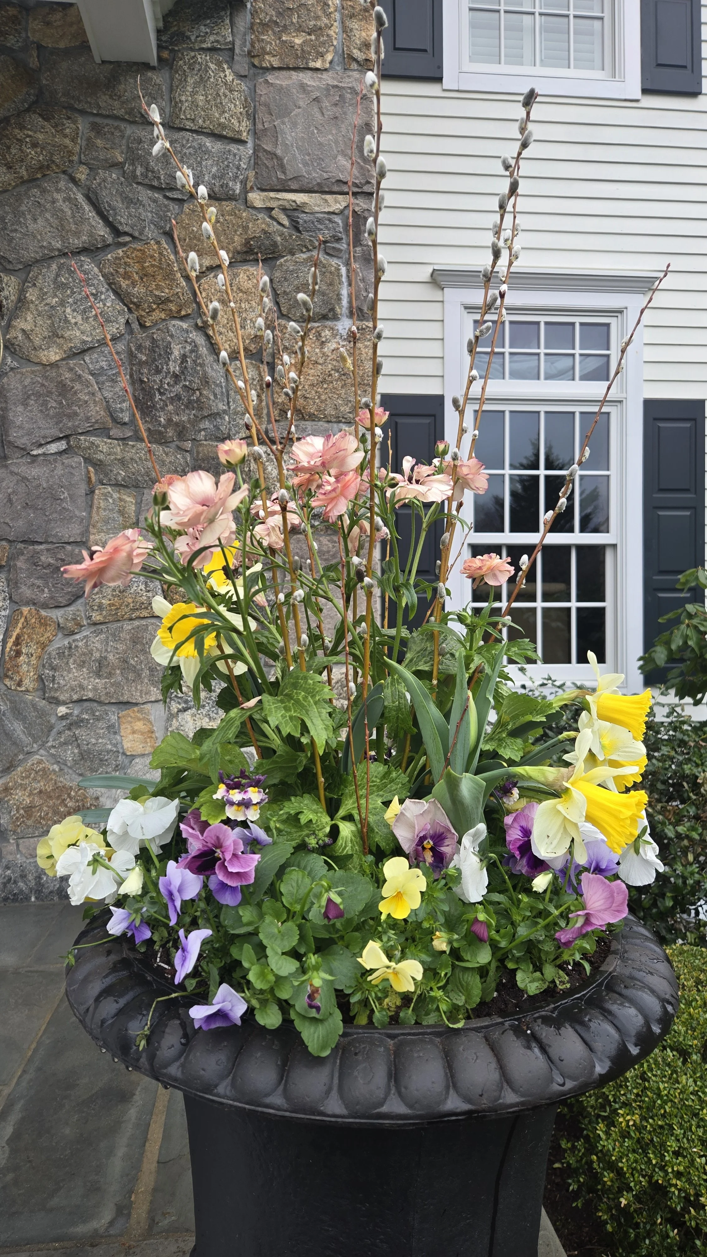 spring container 10.jpg
