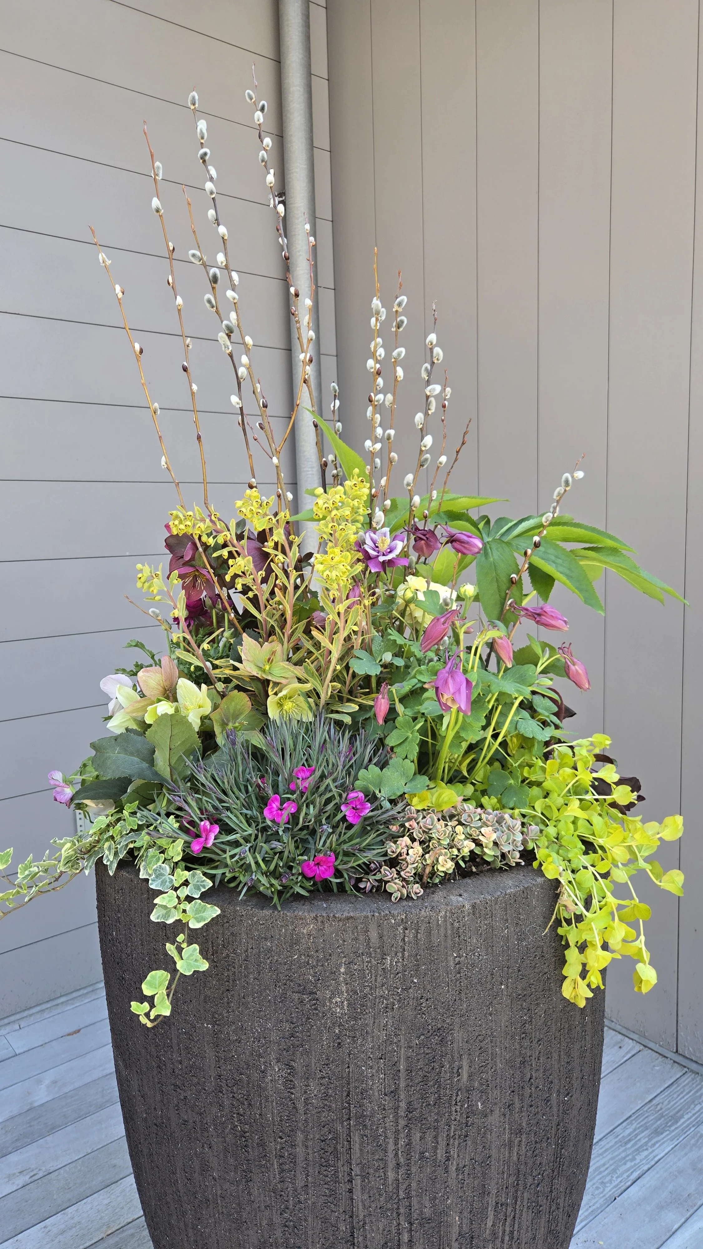 spring container 12.jpg