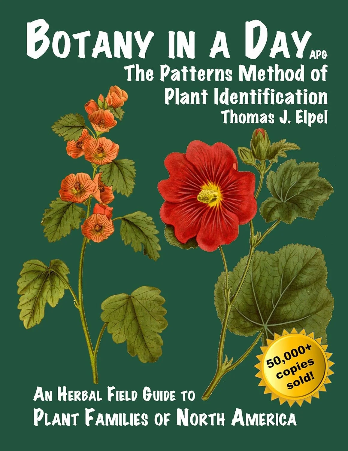 Botany in a Day Herbal Field Guide to Plant Families of North America