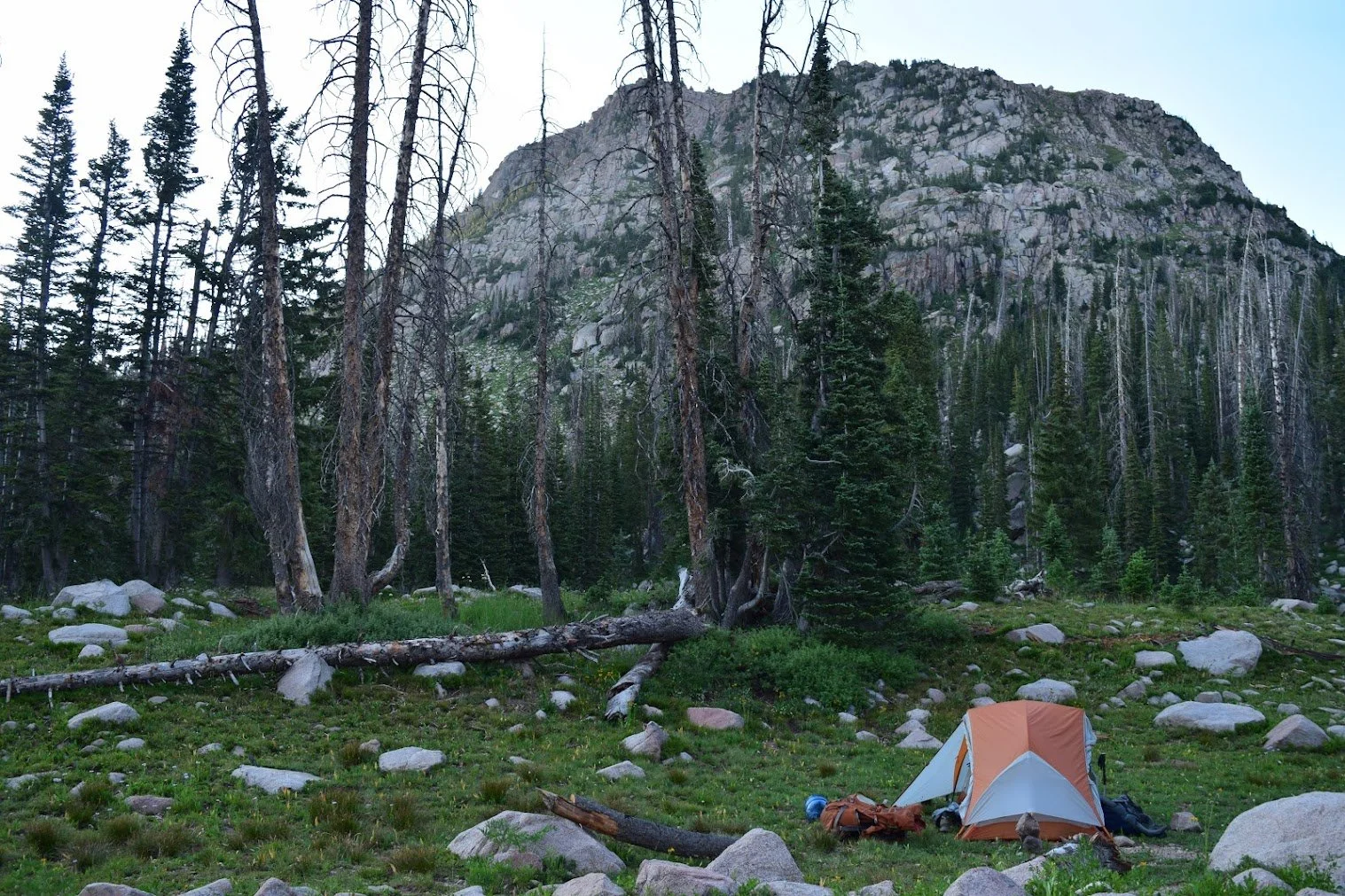 backpack and tent in zirkel wilderness