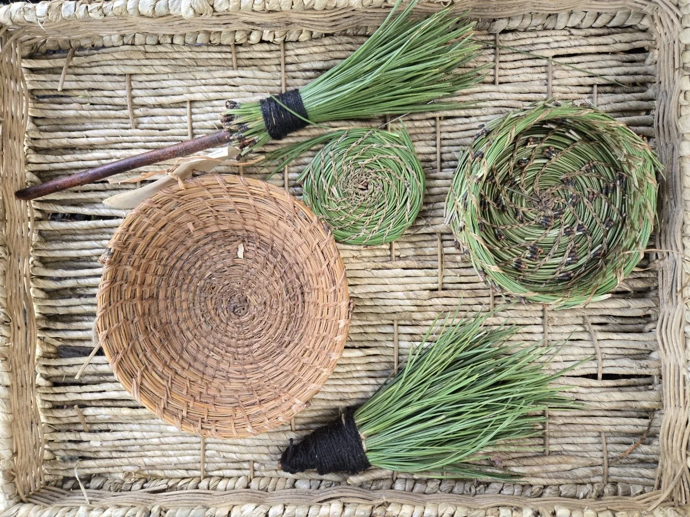 Pine Coil Basketry