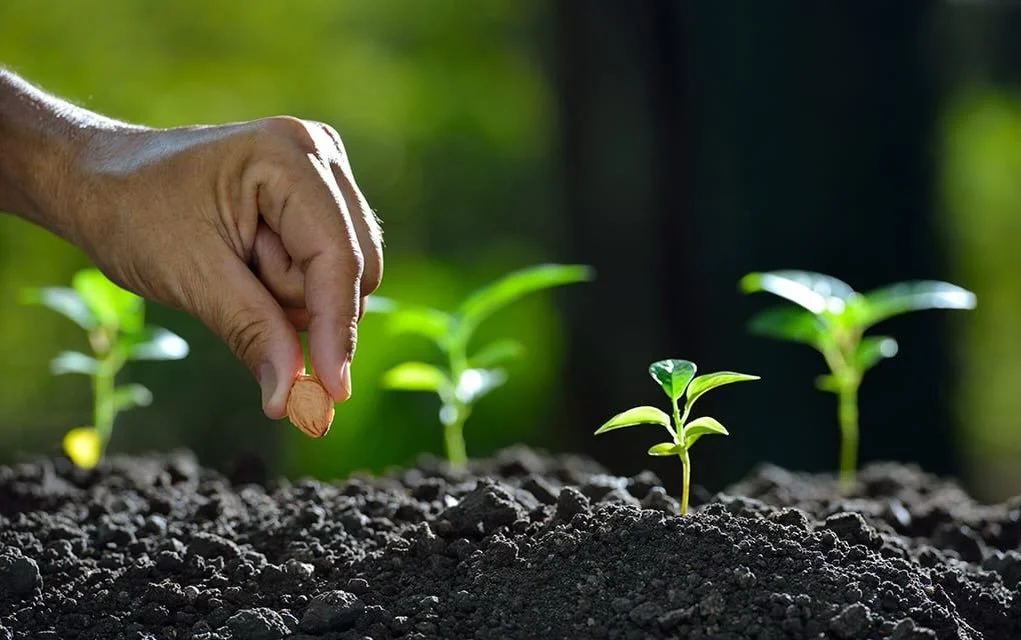 In addition to families and individuals, local churches in Sarasota and across the U.S. have generously invested in helping One Life Church launch, including:

@calvaryftl 
@mycalvary 
@myfaithgeneration 
@thatsgracechurch 
@ssccsrq 
The Well Chapel
