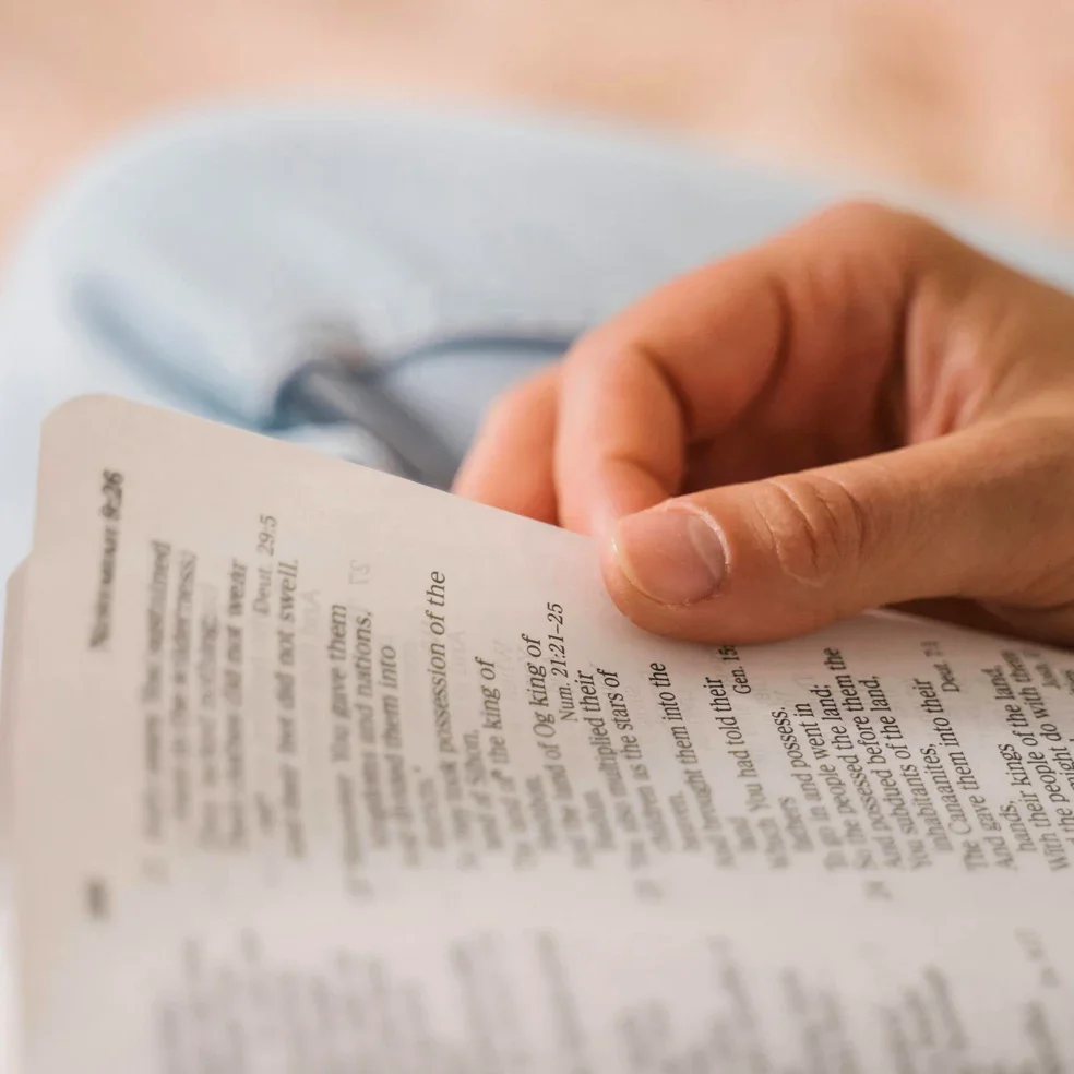 Discipleship pathway at a contemporary church in Sarasota, Florida