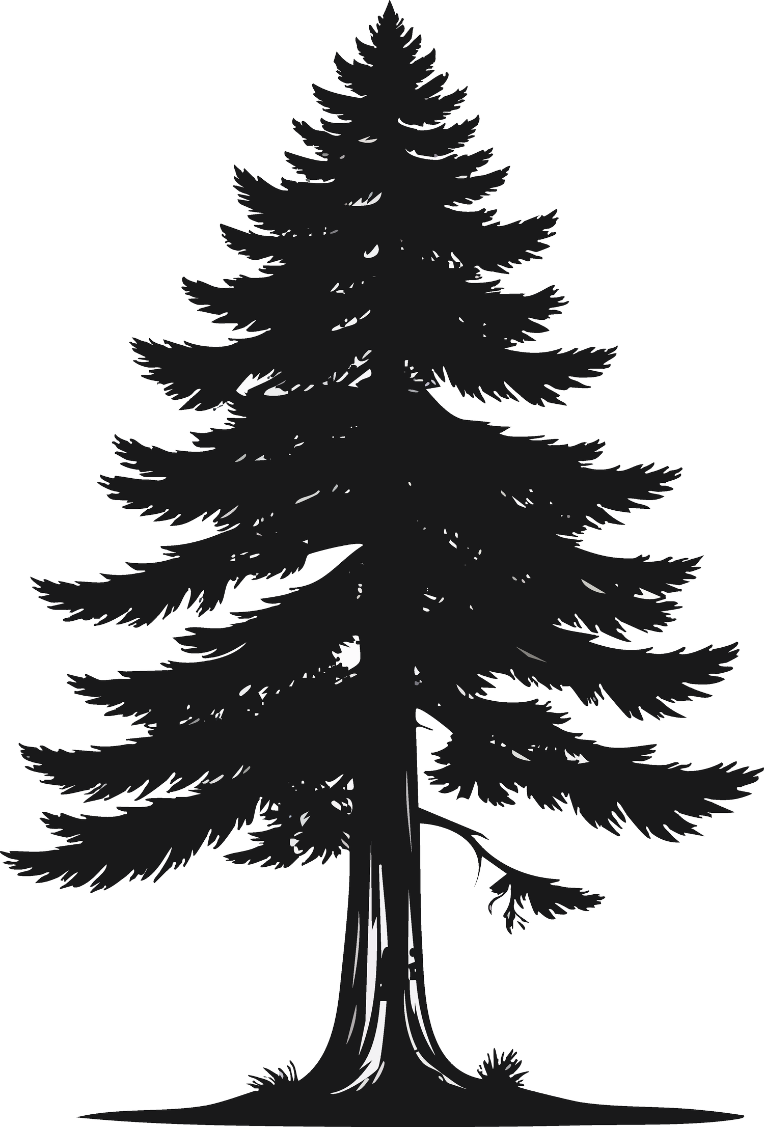 Venerable Angie Muir