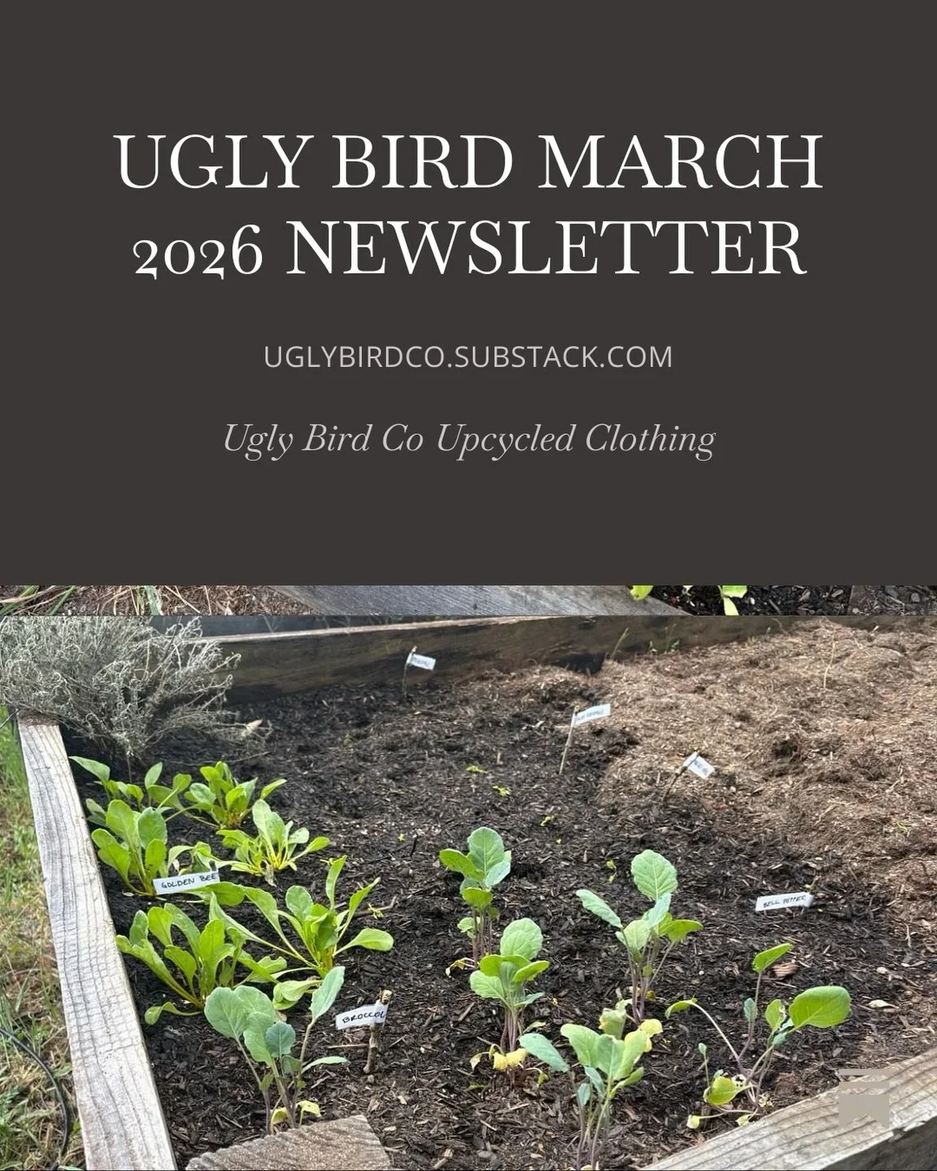 Big news on the block: my first official monthly newsletter has DROPPED!! 🕺🌟🦄🌍🍃🌱🌳

Read &amp; subscribe via substack link in story &amp; bio