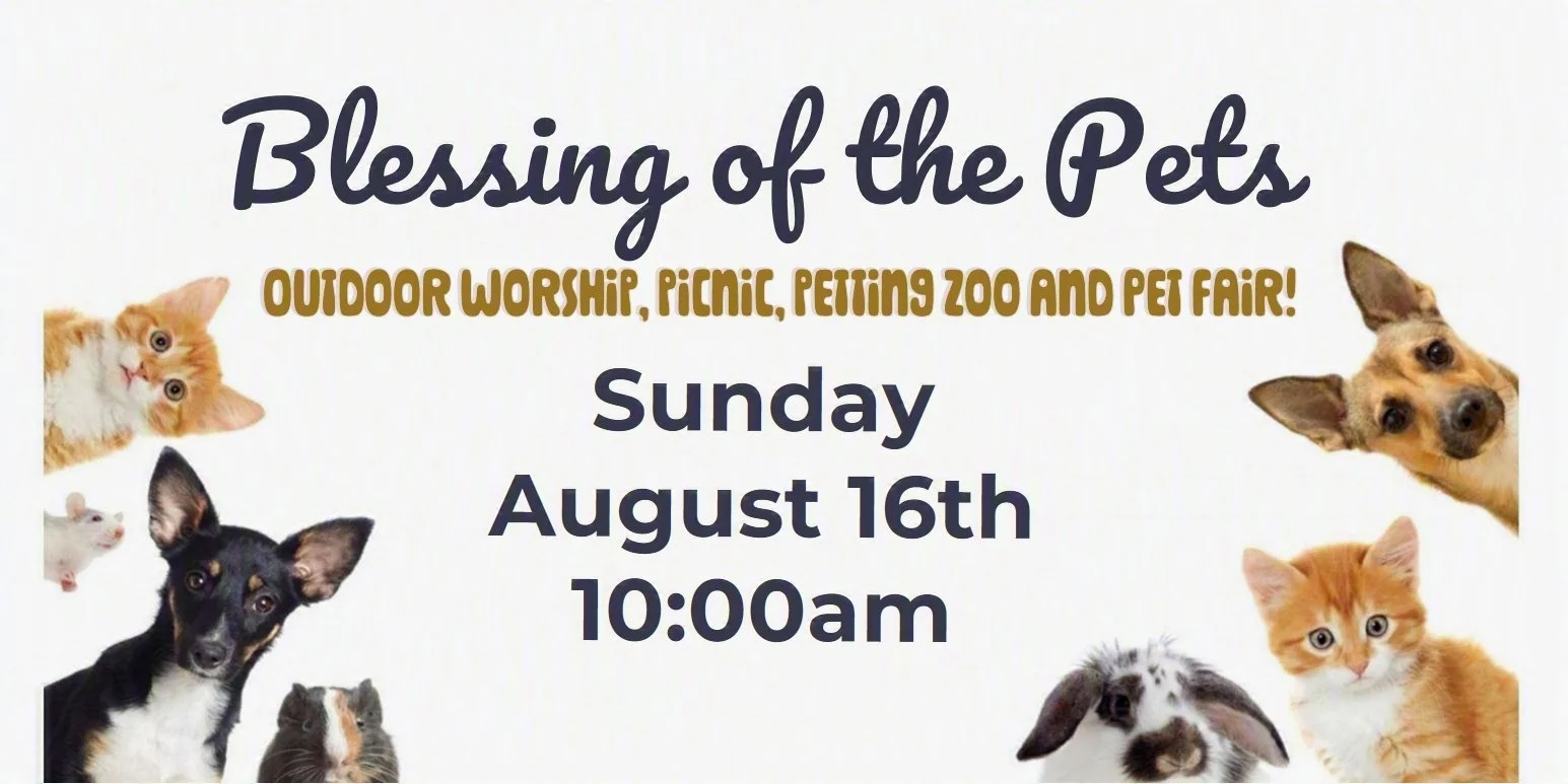 Special Sunday Worship: Blessing of  the Pets