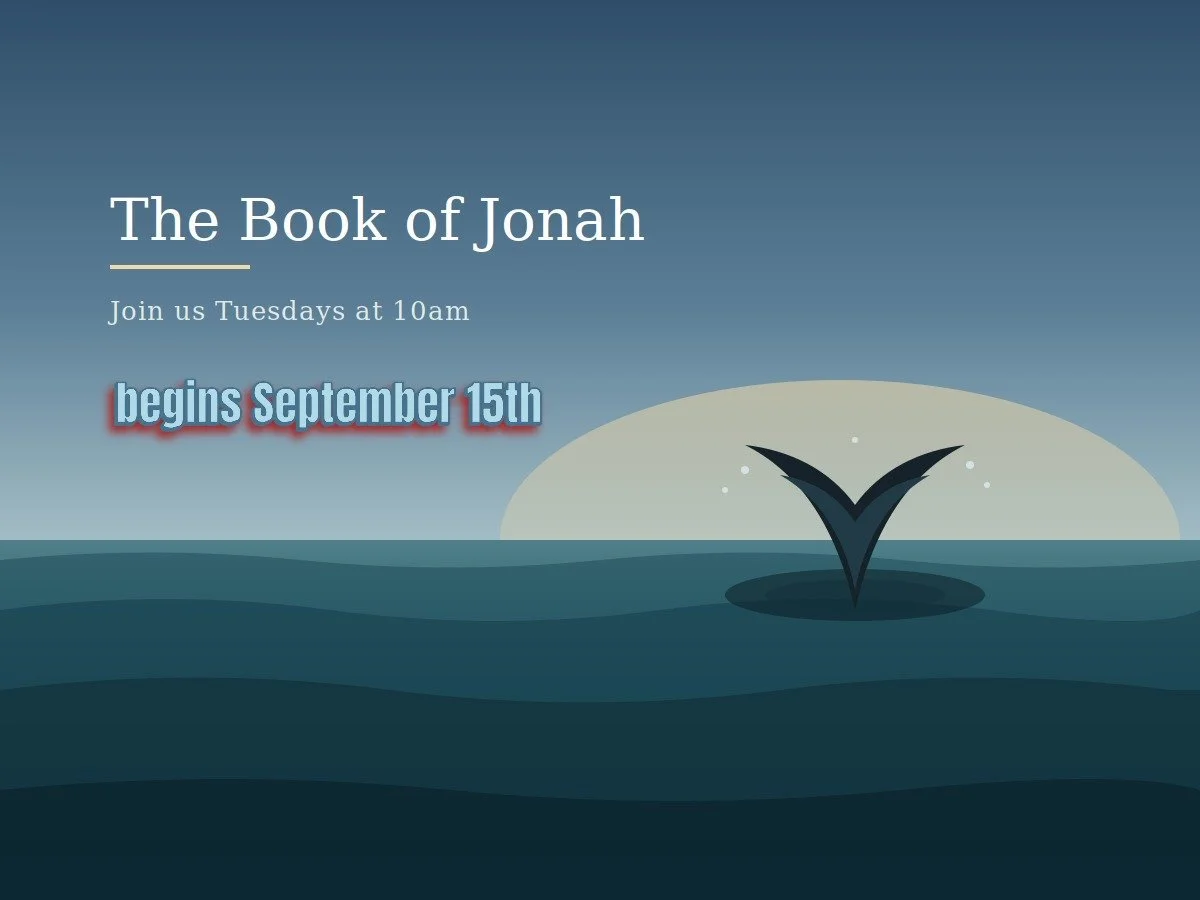 rev jonah gallery.JPG