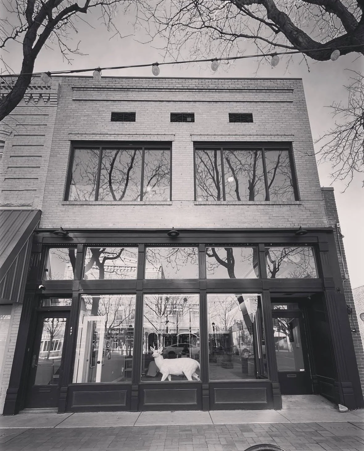 A happy hello to Our new shop Location! 