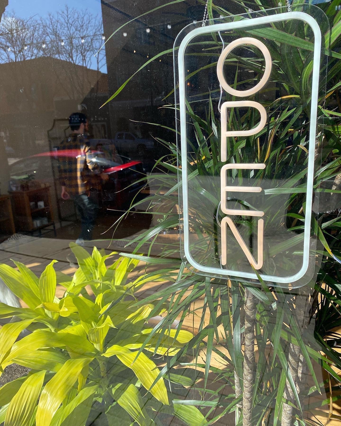 Blackbird House a new plant, rock, oddity,  and curiosity shop in Longmont Colorado