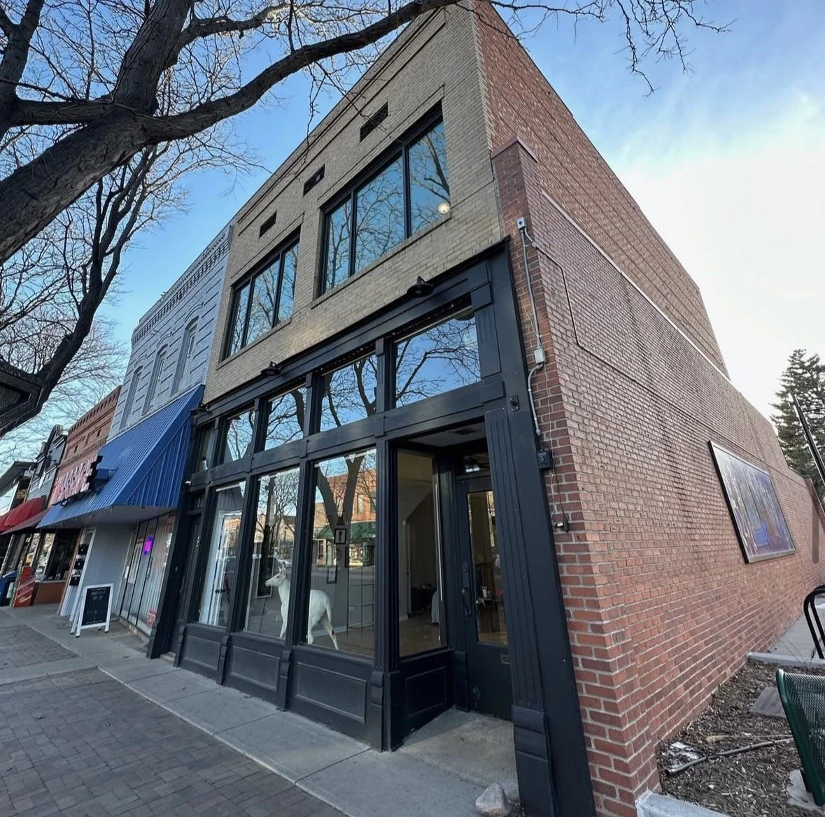 Blackbird ink tattoo studio located on the cozy longmont Colorado main street