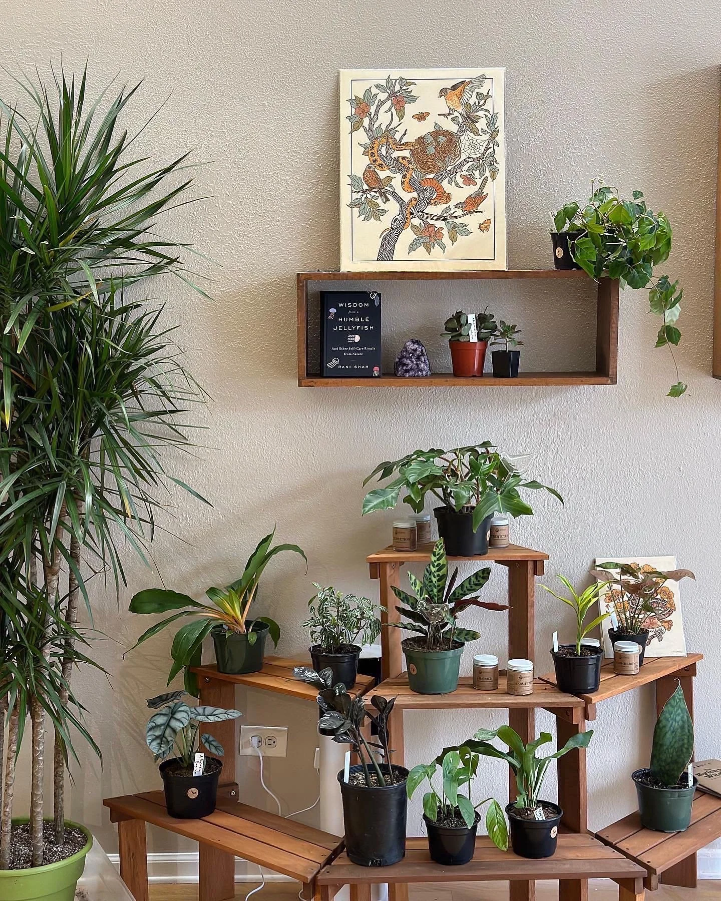 Blackbird house a new shop on the Longmont Main Street.