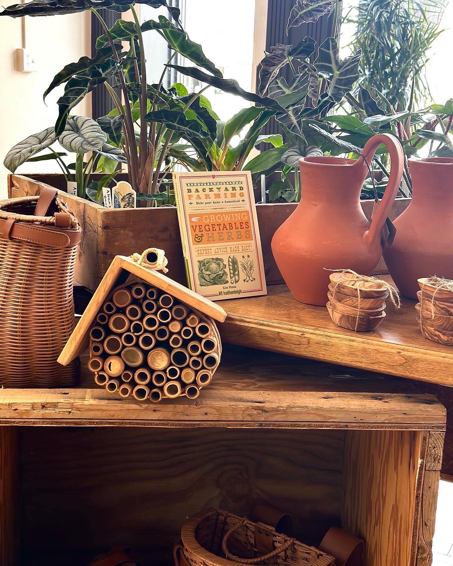 Blackbird house and blackbird ink tattoo two shops under the same blackbird business name, and in the same longmont building