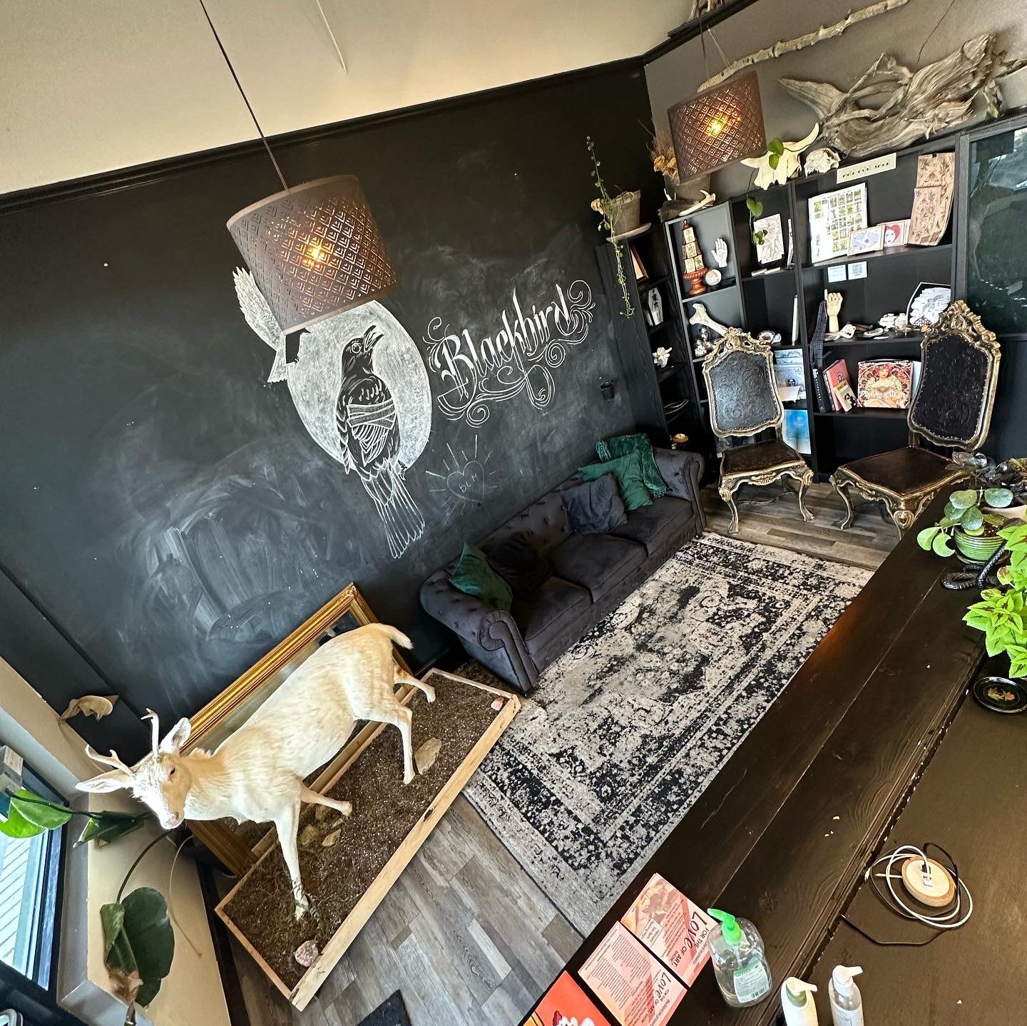 Blackbird ink an all woman tattoo shop in Lafayette soon to move to Longmont Colorado