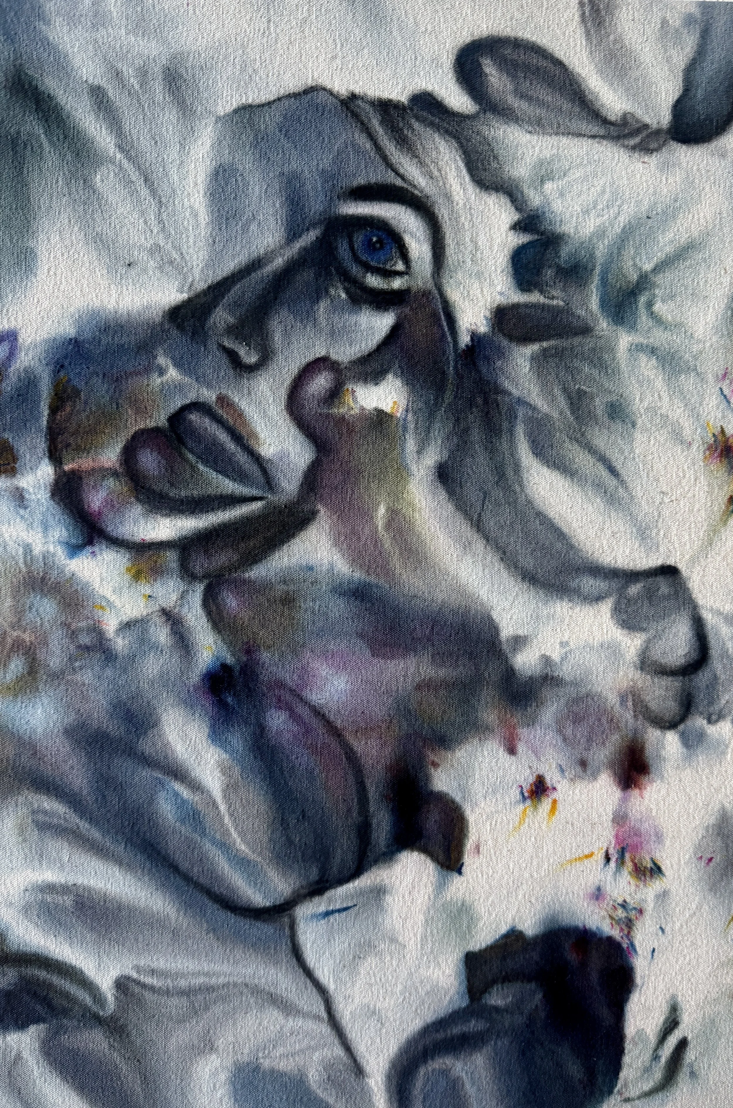 Phantom IV ( 12 X 20)