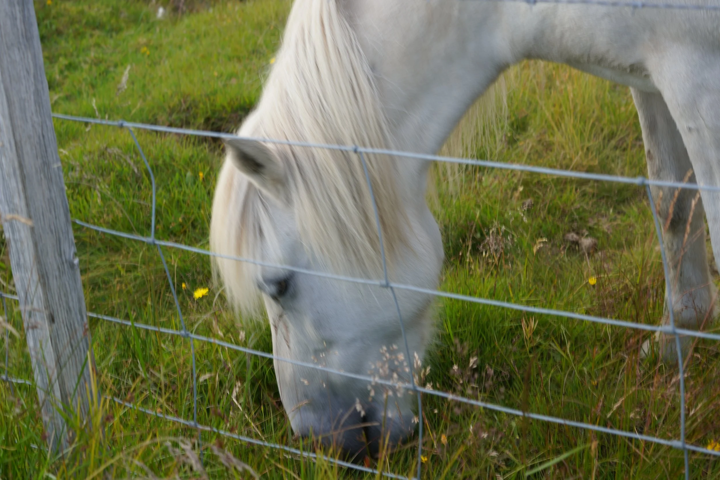 DSC05089.jpeg