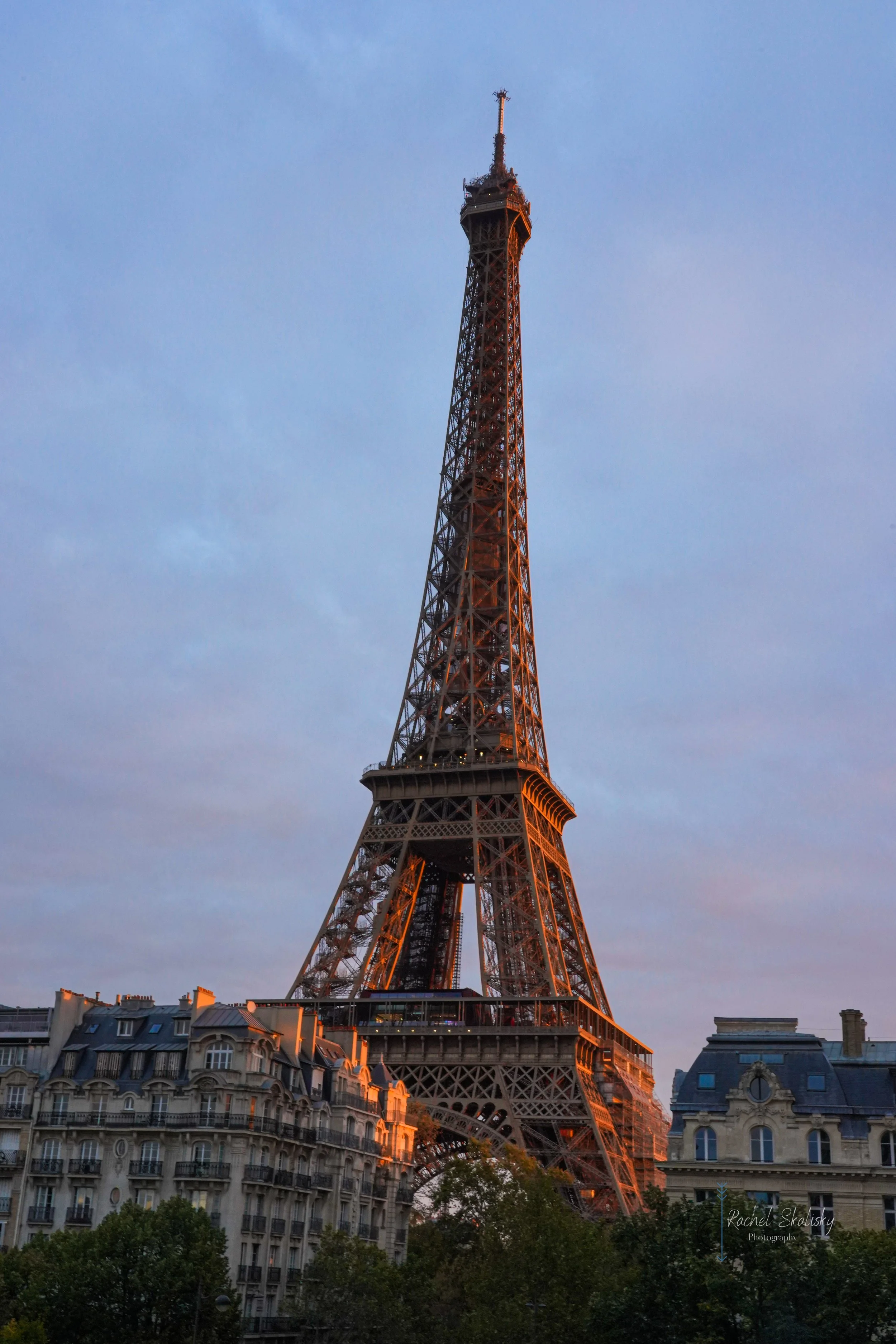DSC08393.jpg
