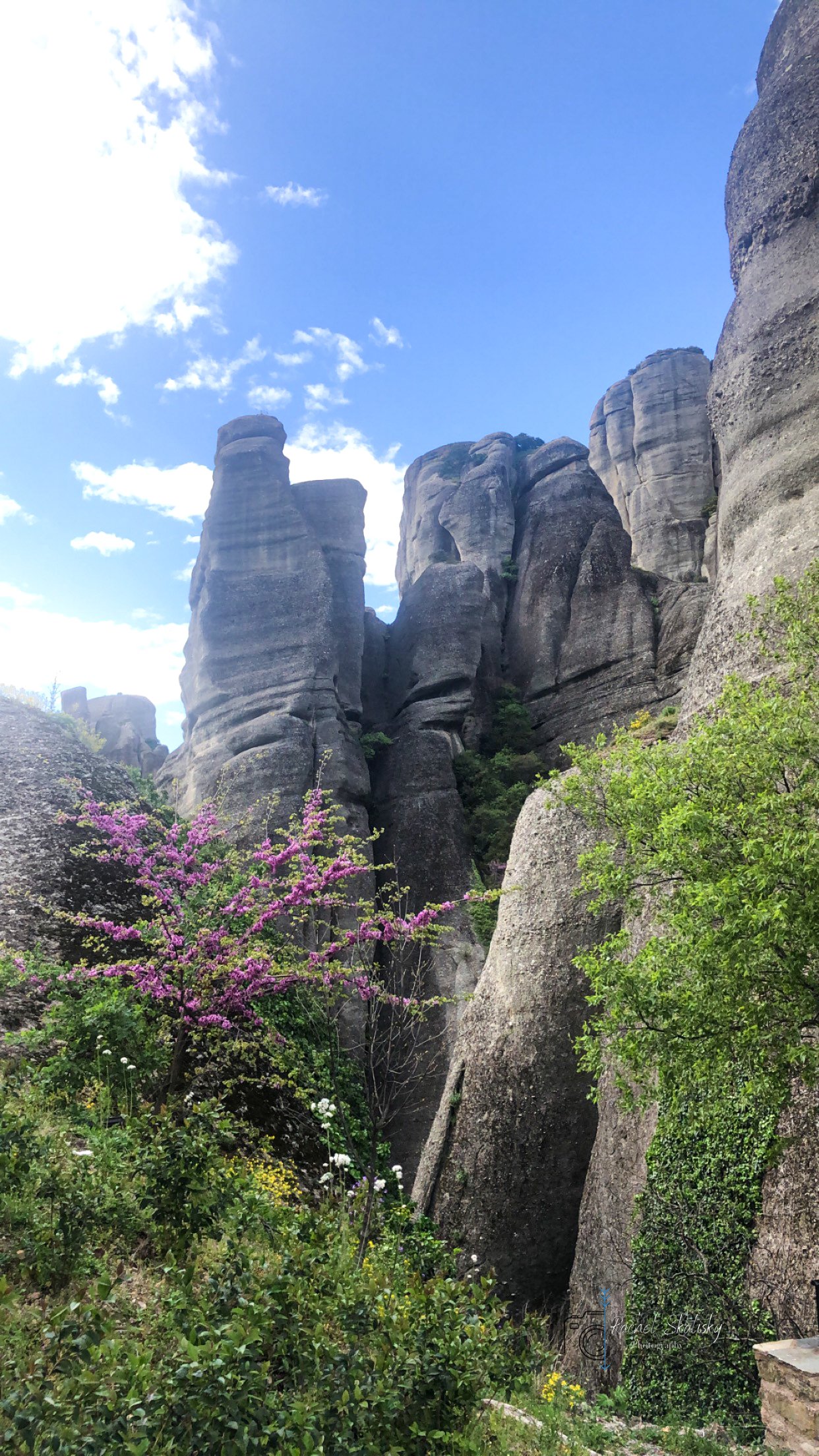 20190410_131905668_iOS.jpg
