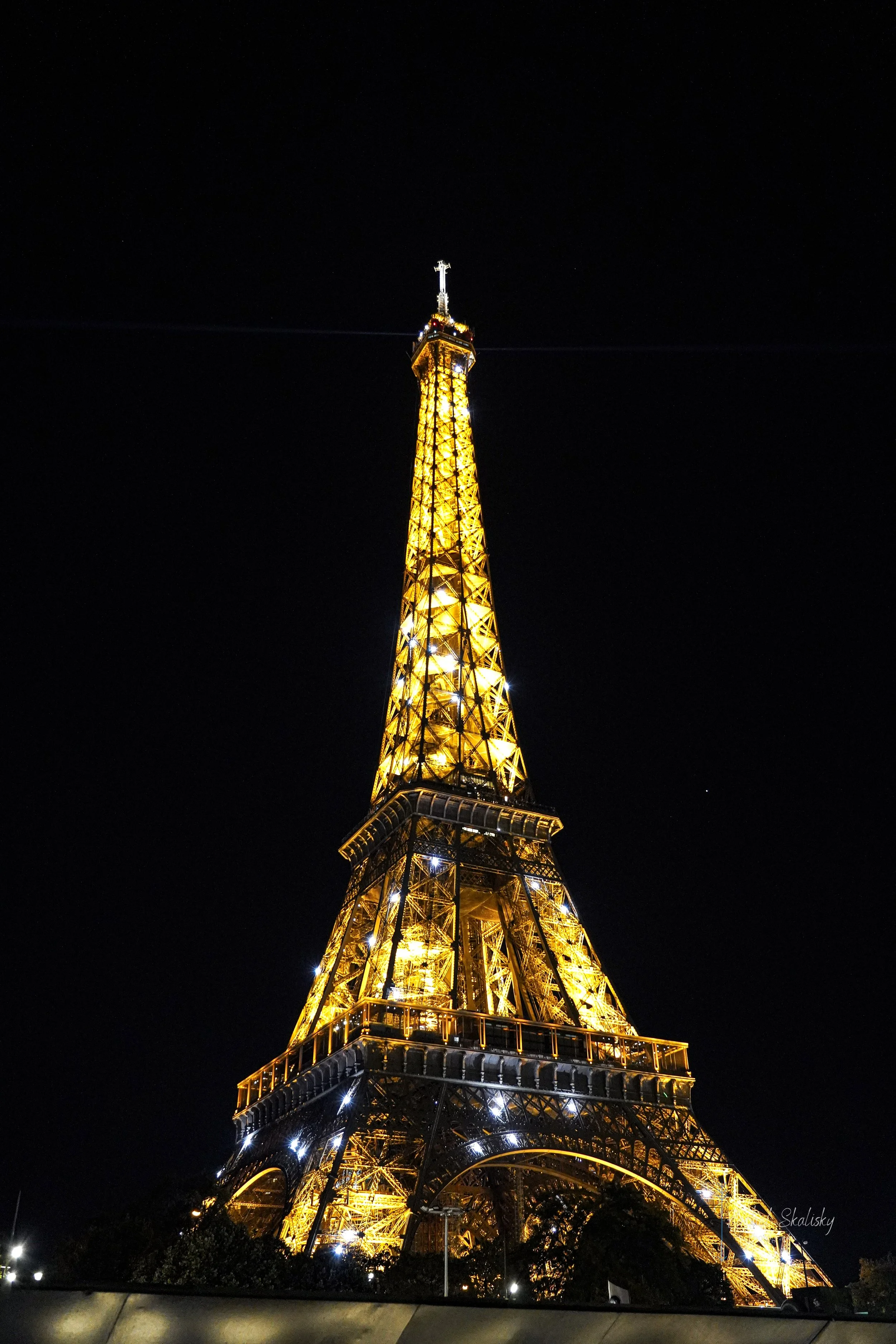 DSC08485.jpg