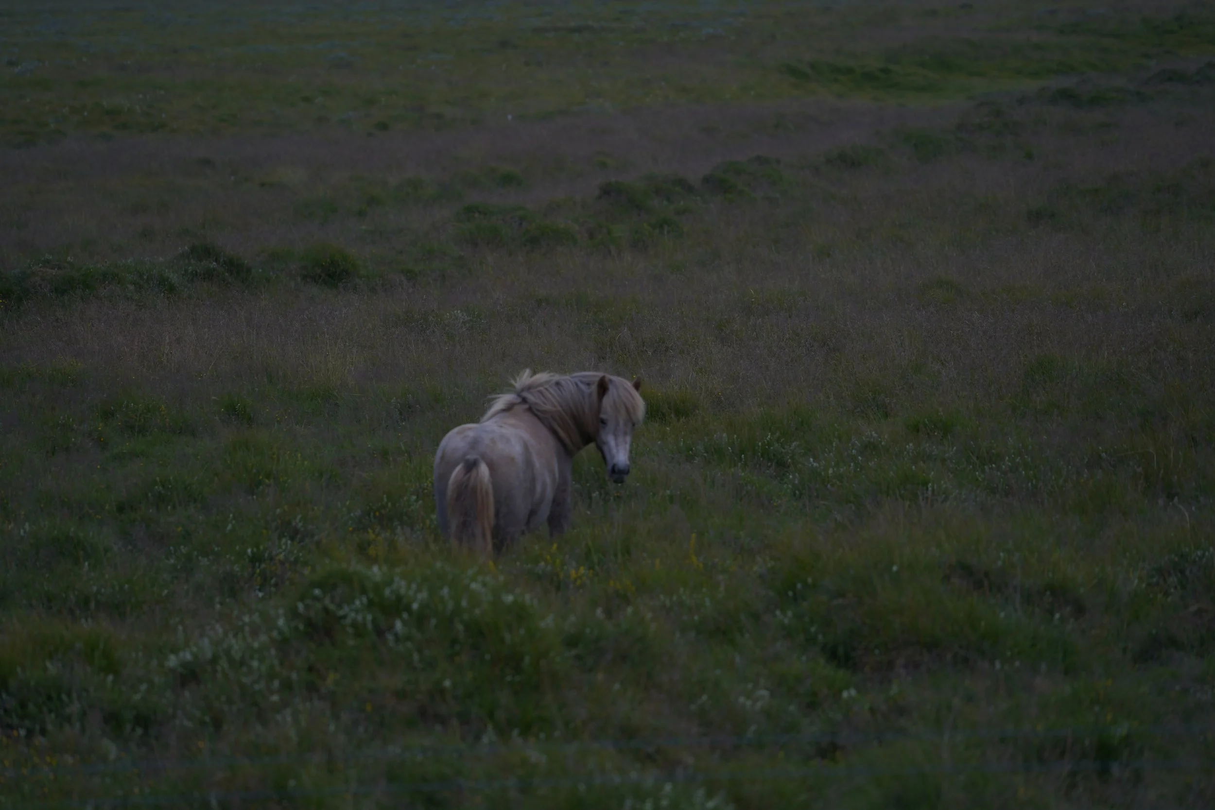 DSC03568.jpeg
