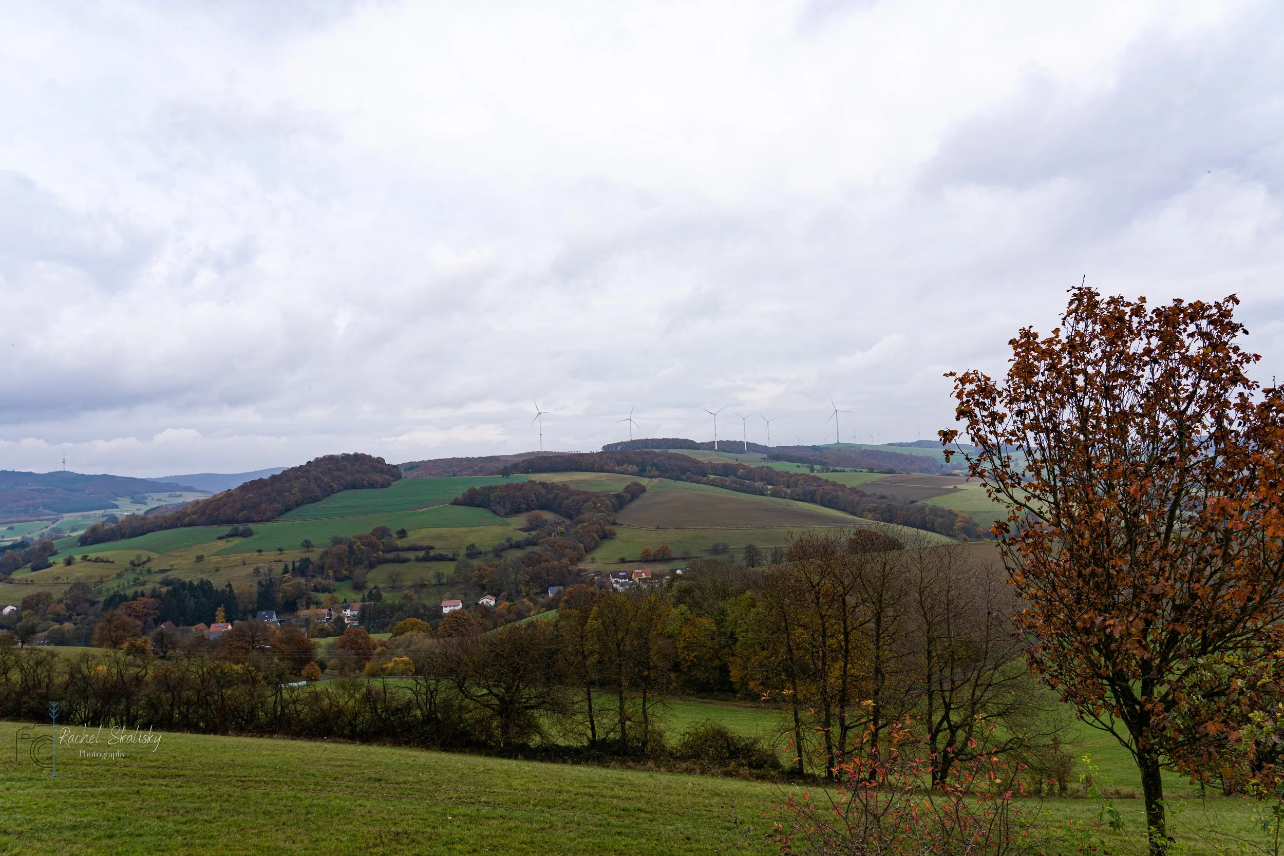 DSC08748.jpg