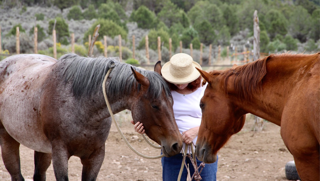 Honoring Grief with the Wisdom of the Herd
