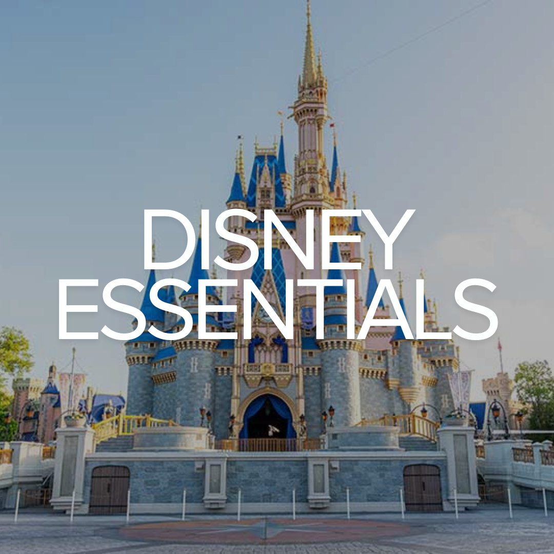 Amazon Disney World Essentials