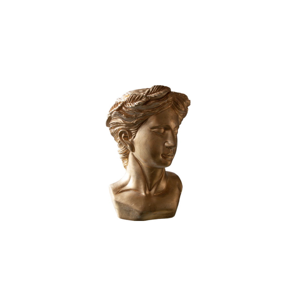 Alquiler de Cabeza de Venus dorada para eventos