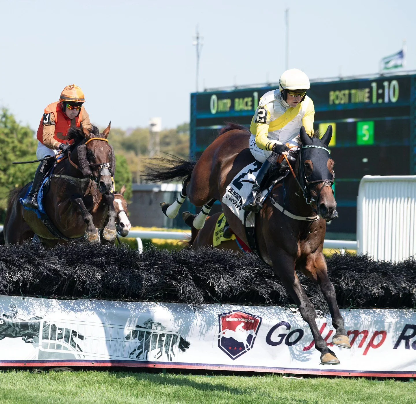 Champion in the Making: Swore Wins Supreme Novice Stakes