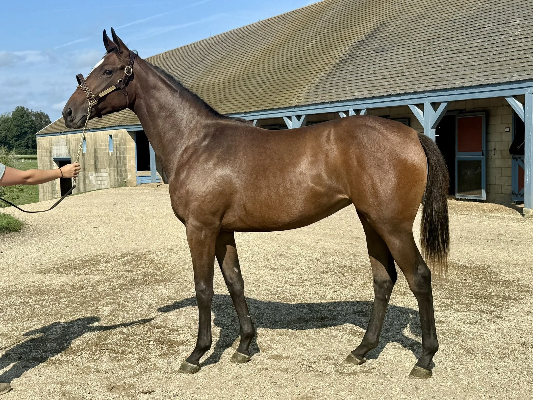 Fall Sale Season Recap