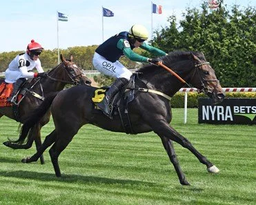 Two racehorses and their jockeys competing on a grass track during a horse race.