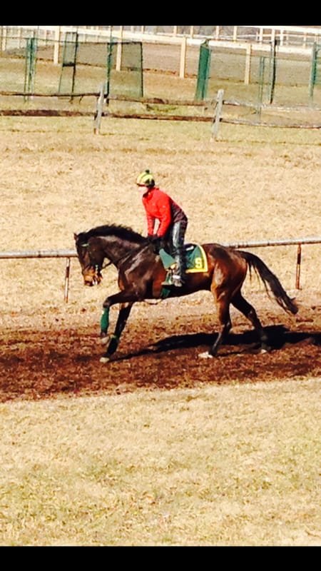 A person riding a racehorse on a dirt track, wearing a red jacket, helmet, and green leg wraps.