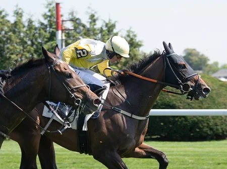 Two racehorses with jockeys competing on a racetrack.
