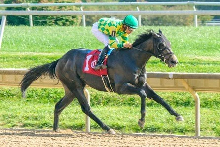 Jockey riding a horse on a racetrack