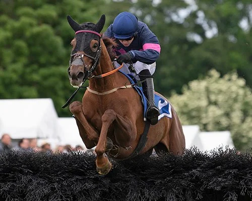 A jockey riding a brown horse during a jump in a horse racing event outdoors.